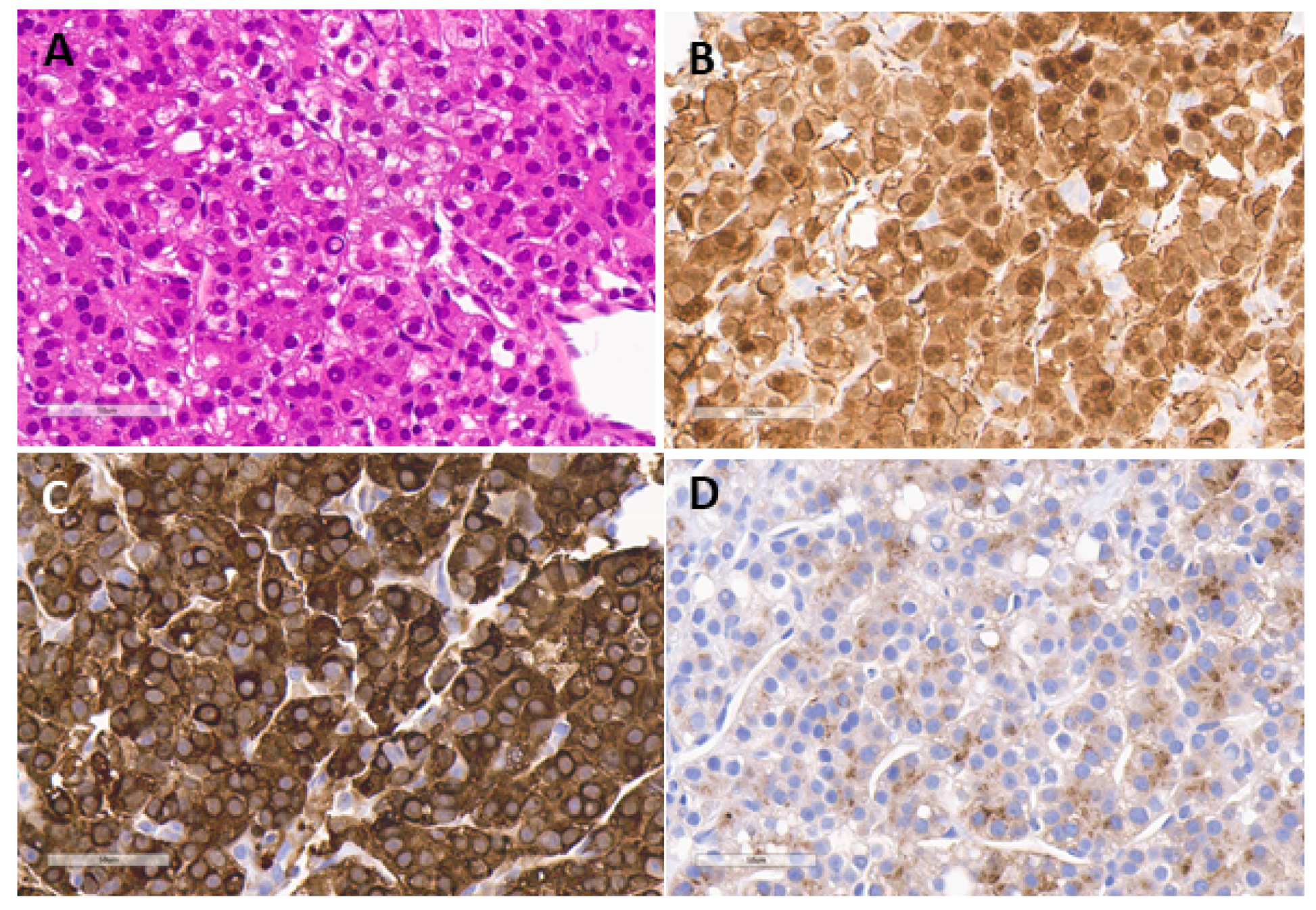 Cancers 12 00720 g003