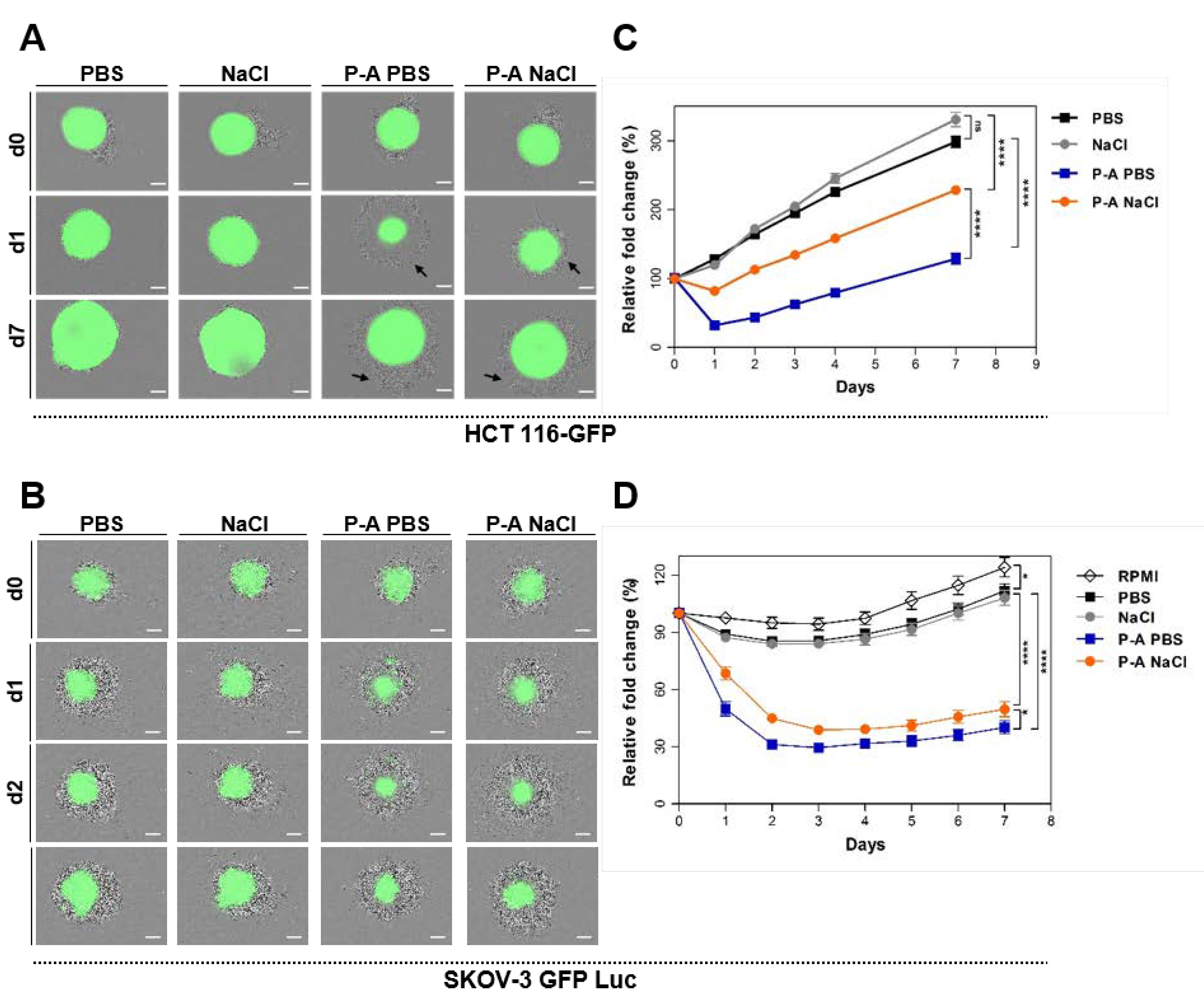 Cancers 12 00721 g001