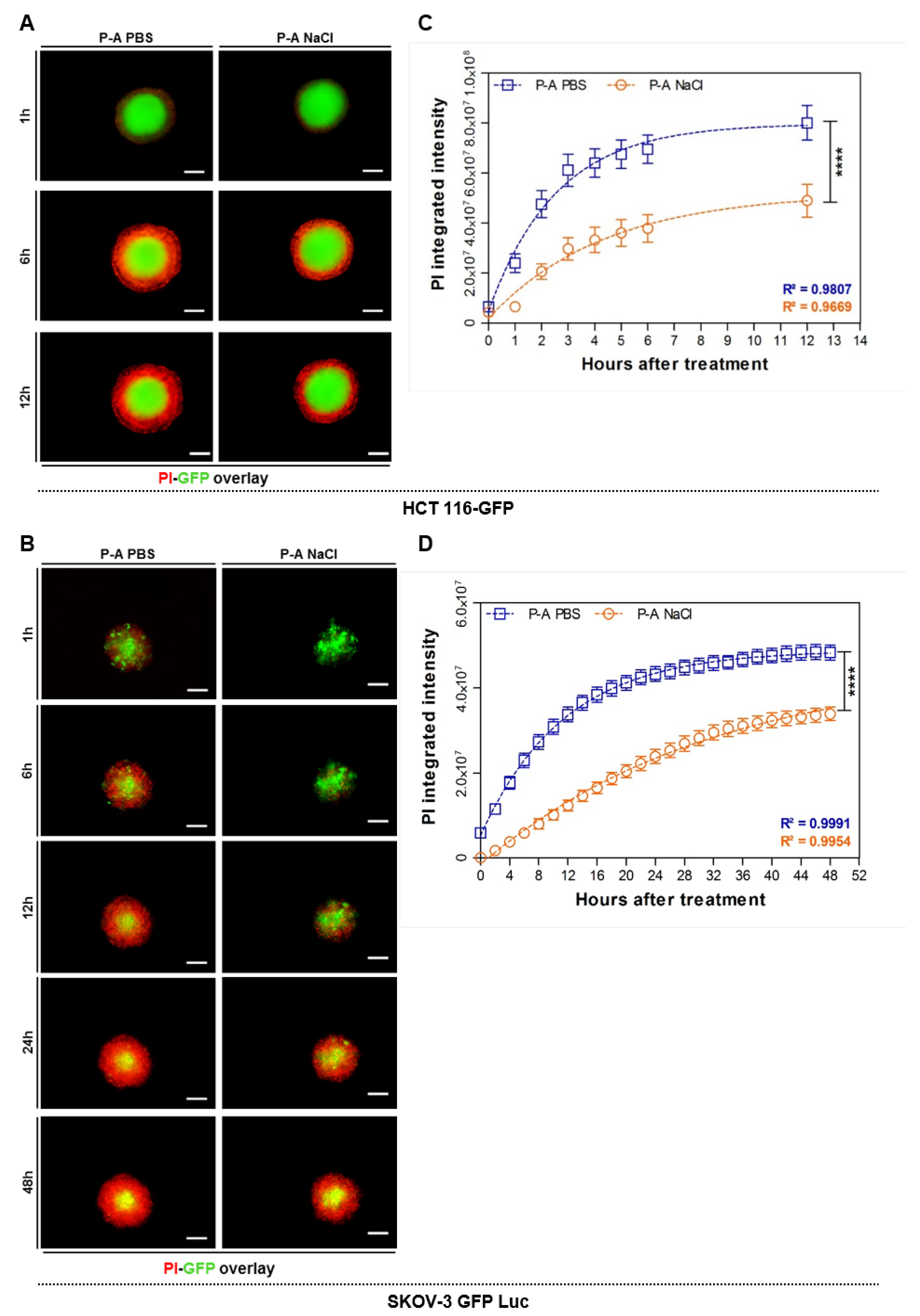 Cancers 12 00721 g002