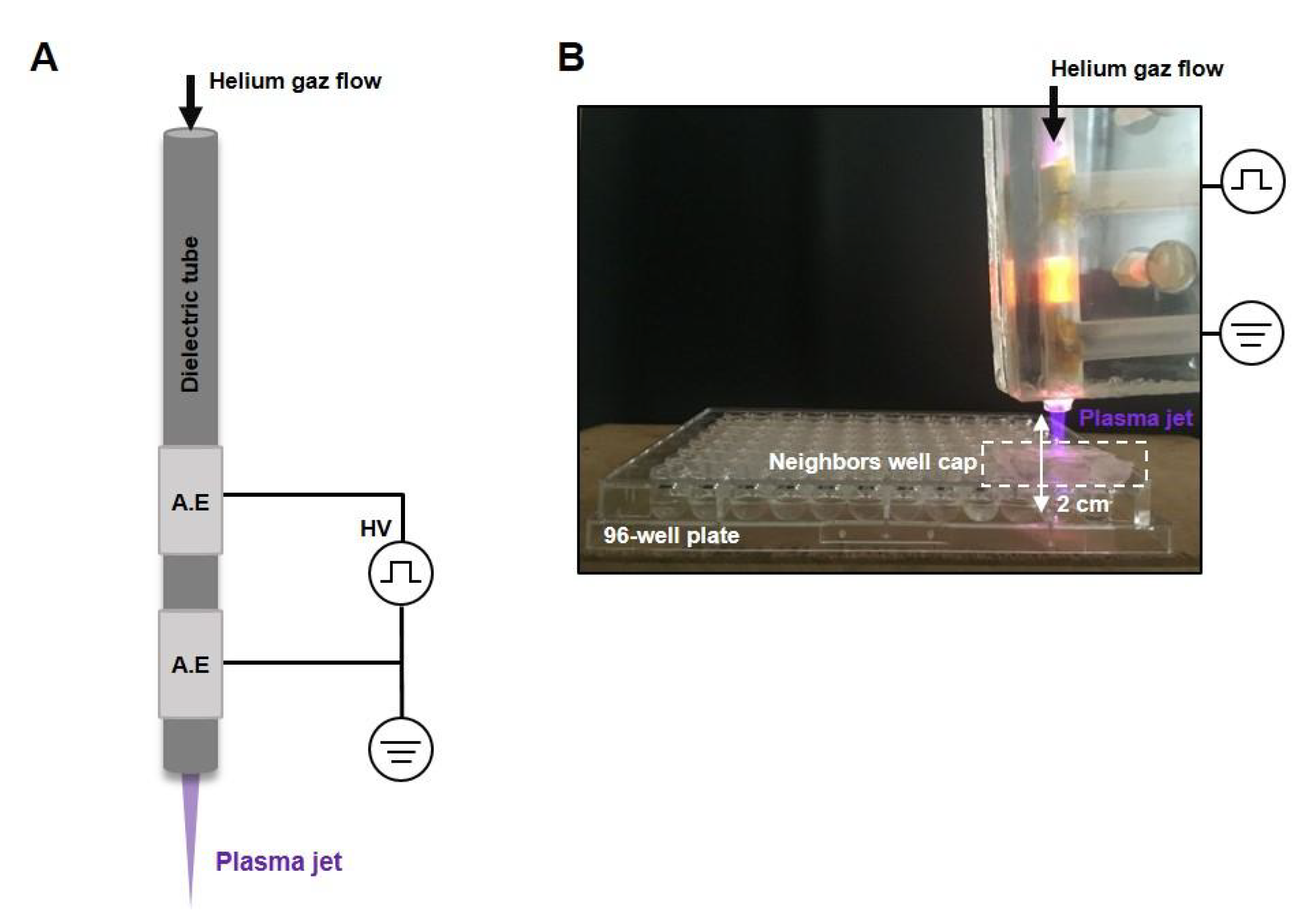 Cancers 12 00721 g006