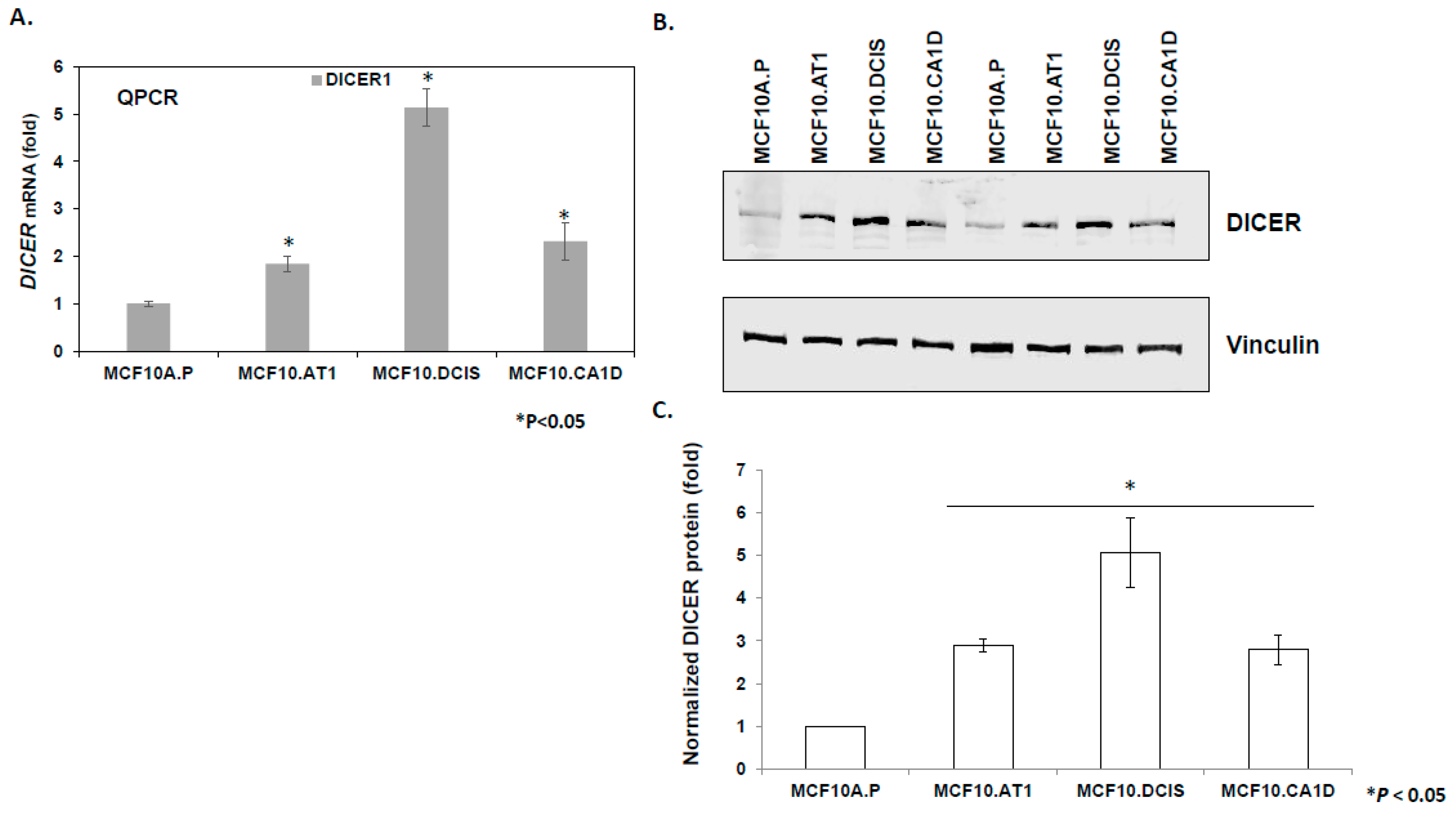 Cancers 12 00722 g003