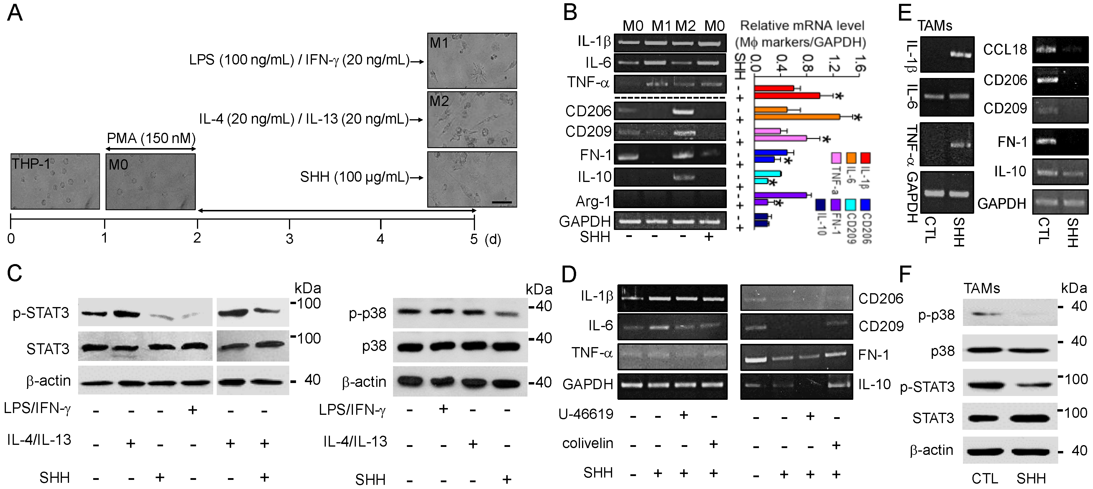 Cancers 12 00726 g003