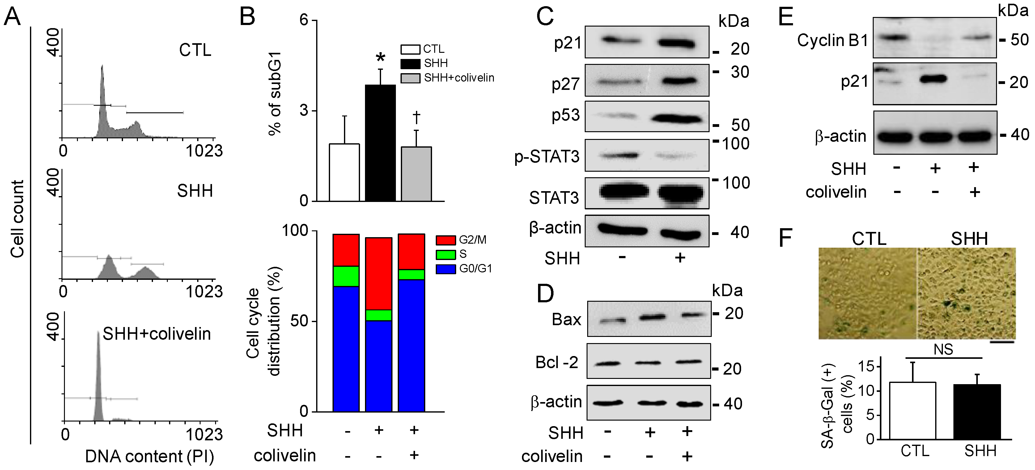 Cancers 12 00726 g007