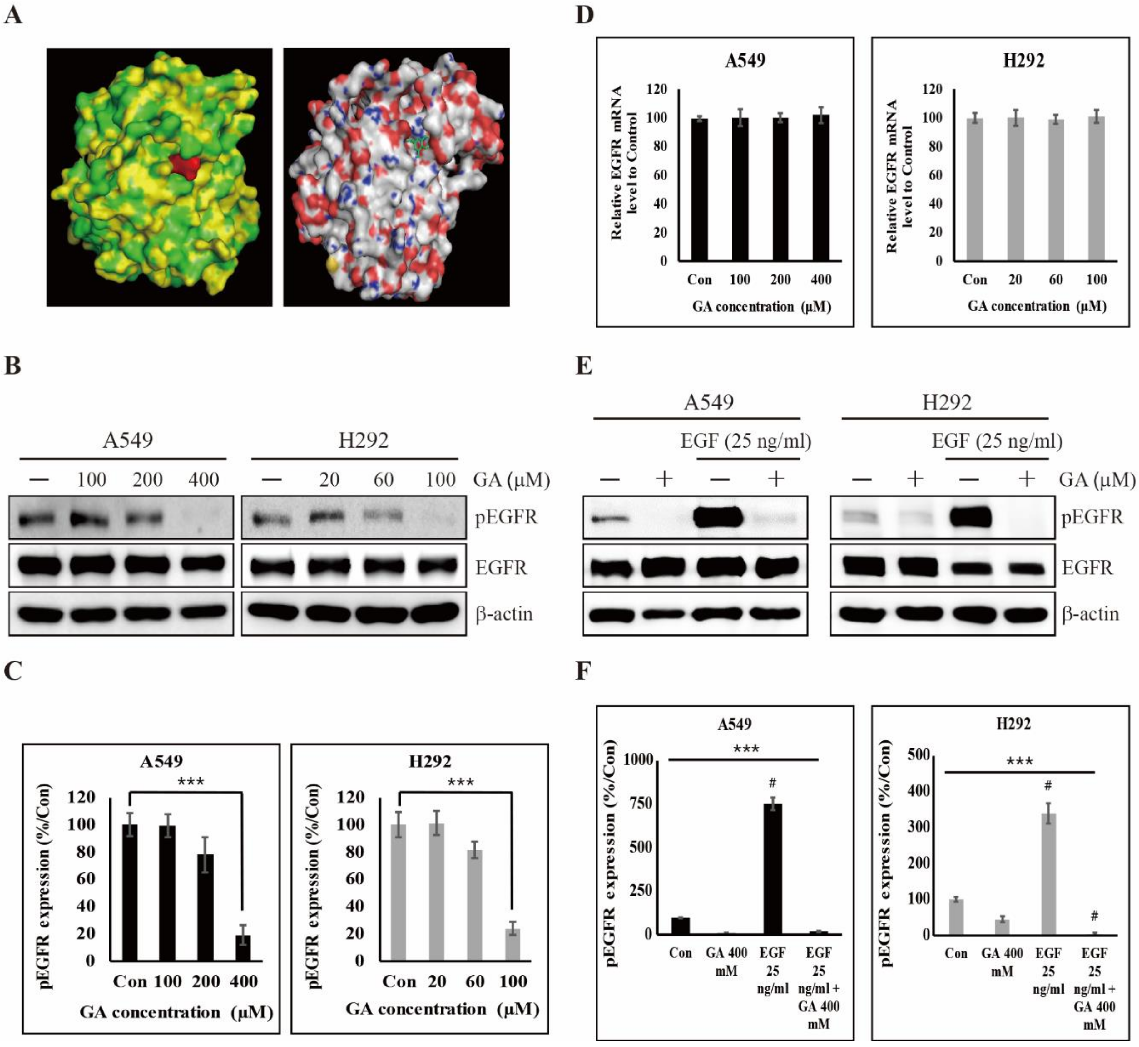 Cancers 12 00727 g002