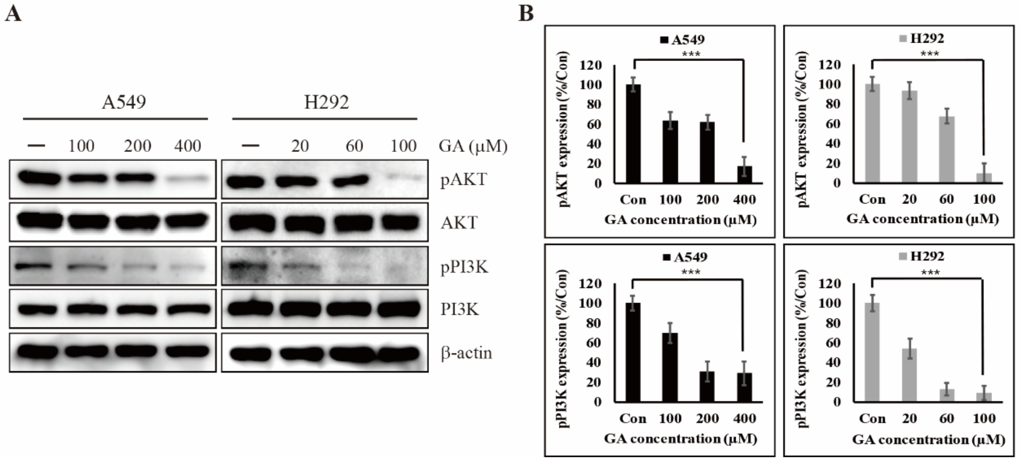 Cancers 12 00727 g003
