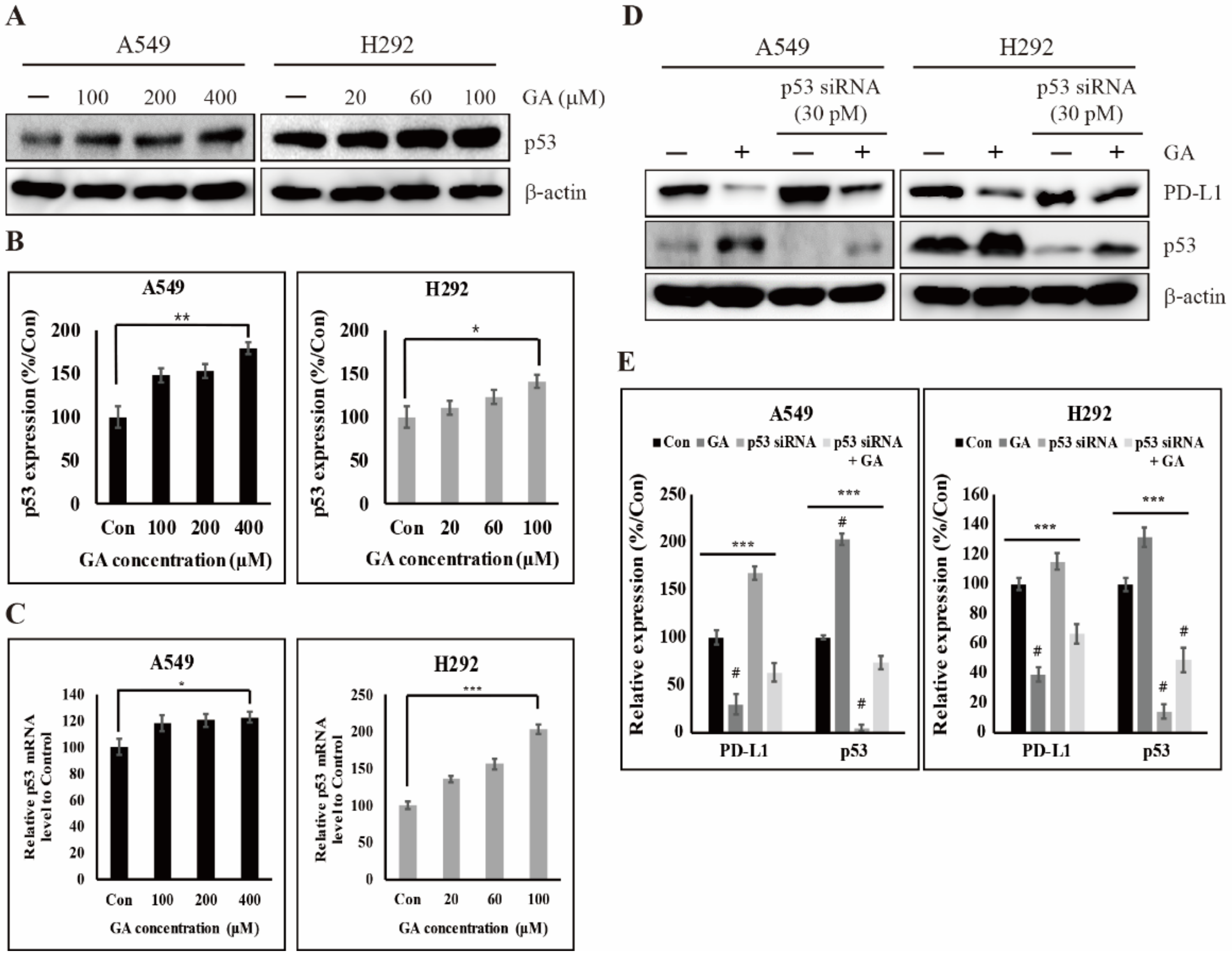 Cancers 12 00727 g004