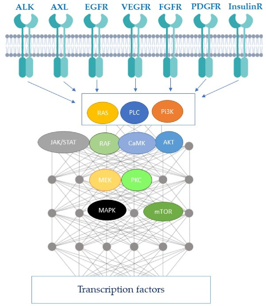 Cancers 12 00731 g002