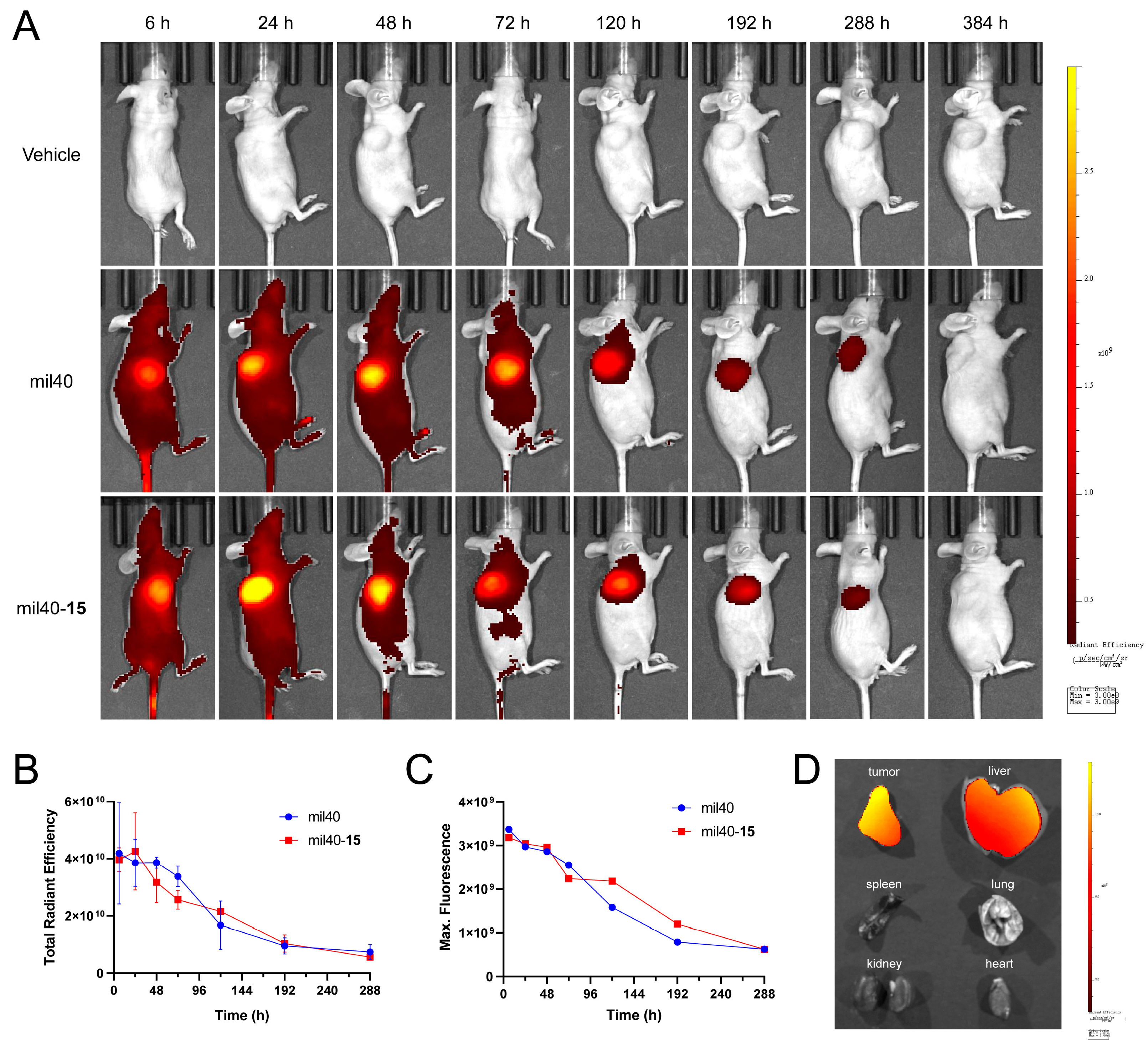 Cancers 12 00744 g007