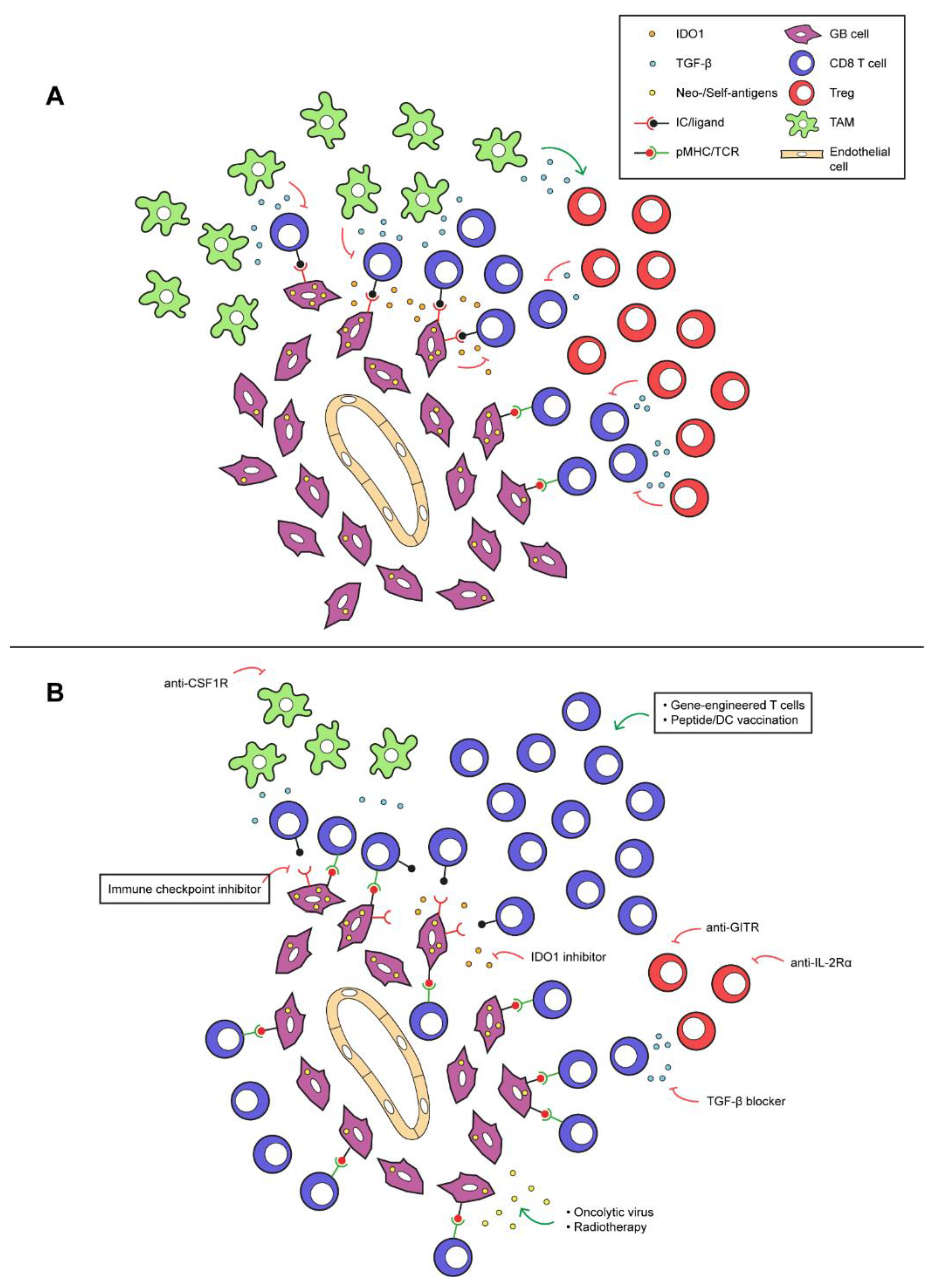 Cancers 12 00751 g001