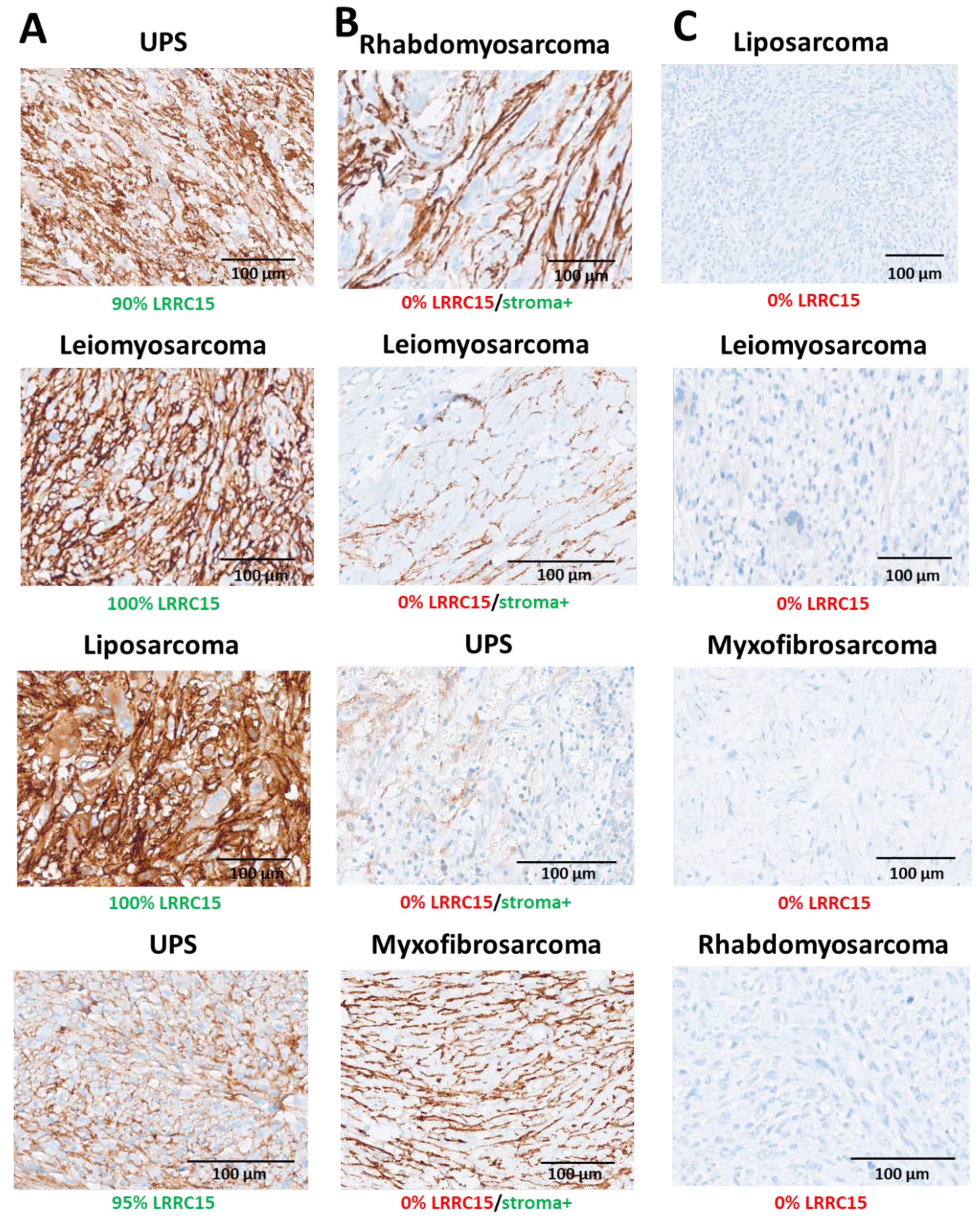 Cancers 12 00757 g001 Cancers 12 00757 g001