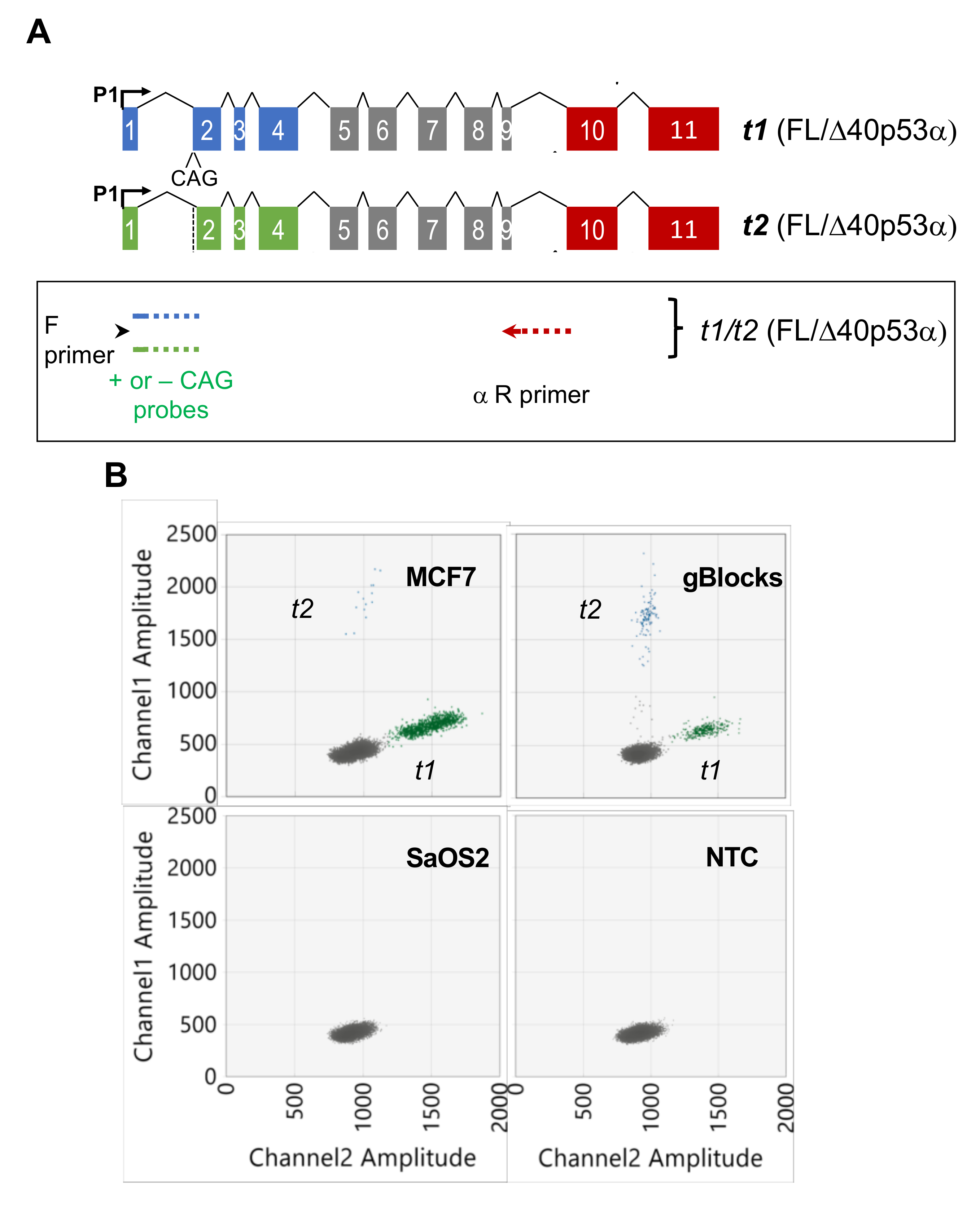 Cancers 12 00769 g003