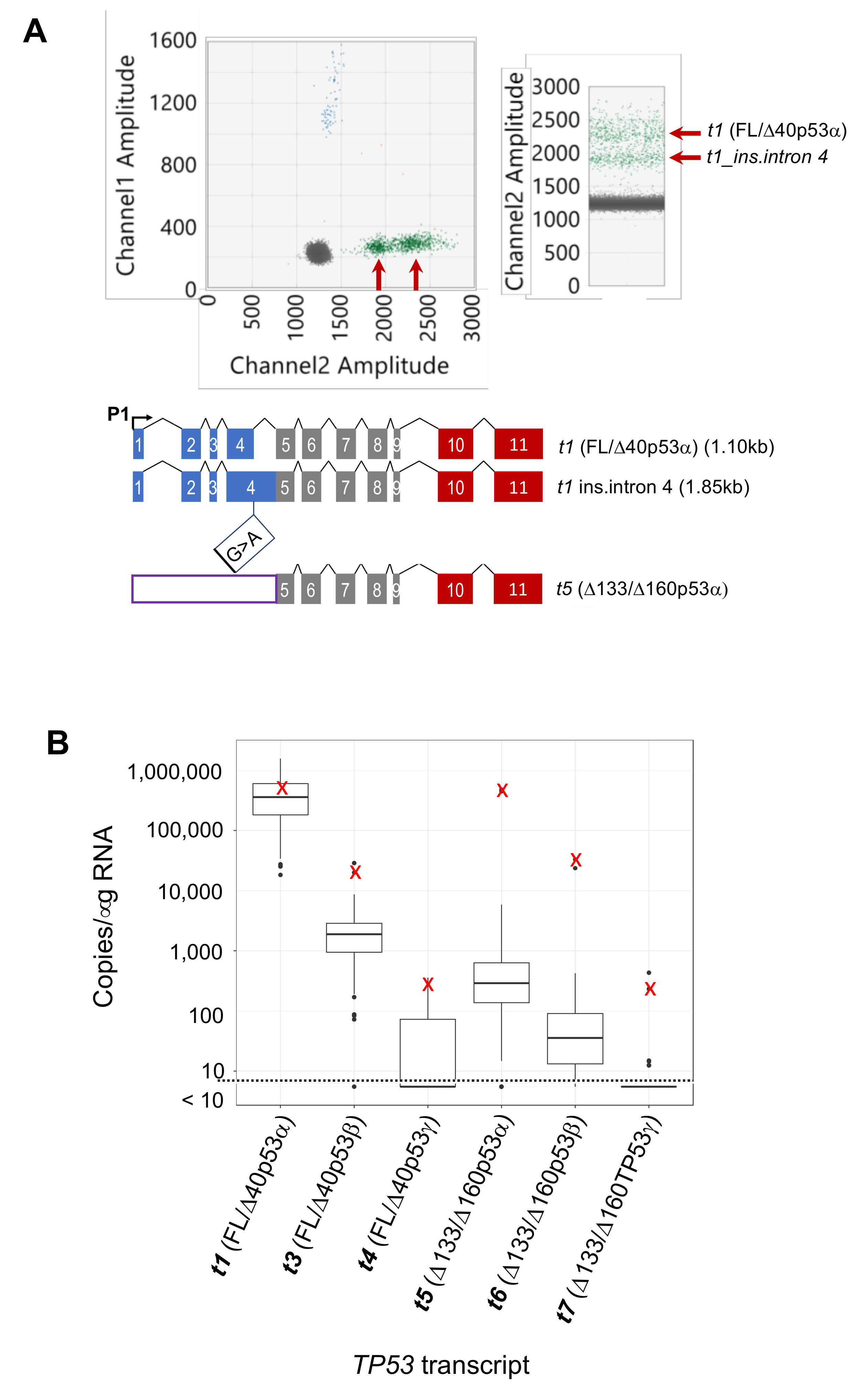 Cancers 12 00769 g006