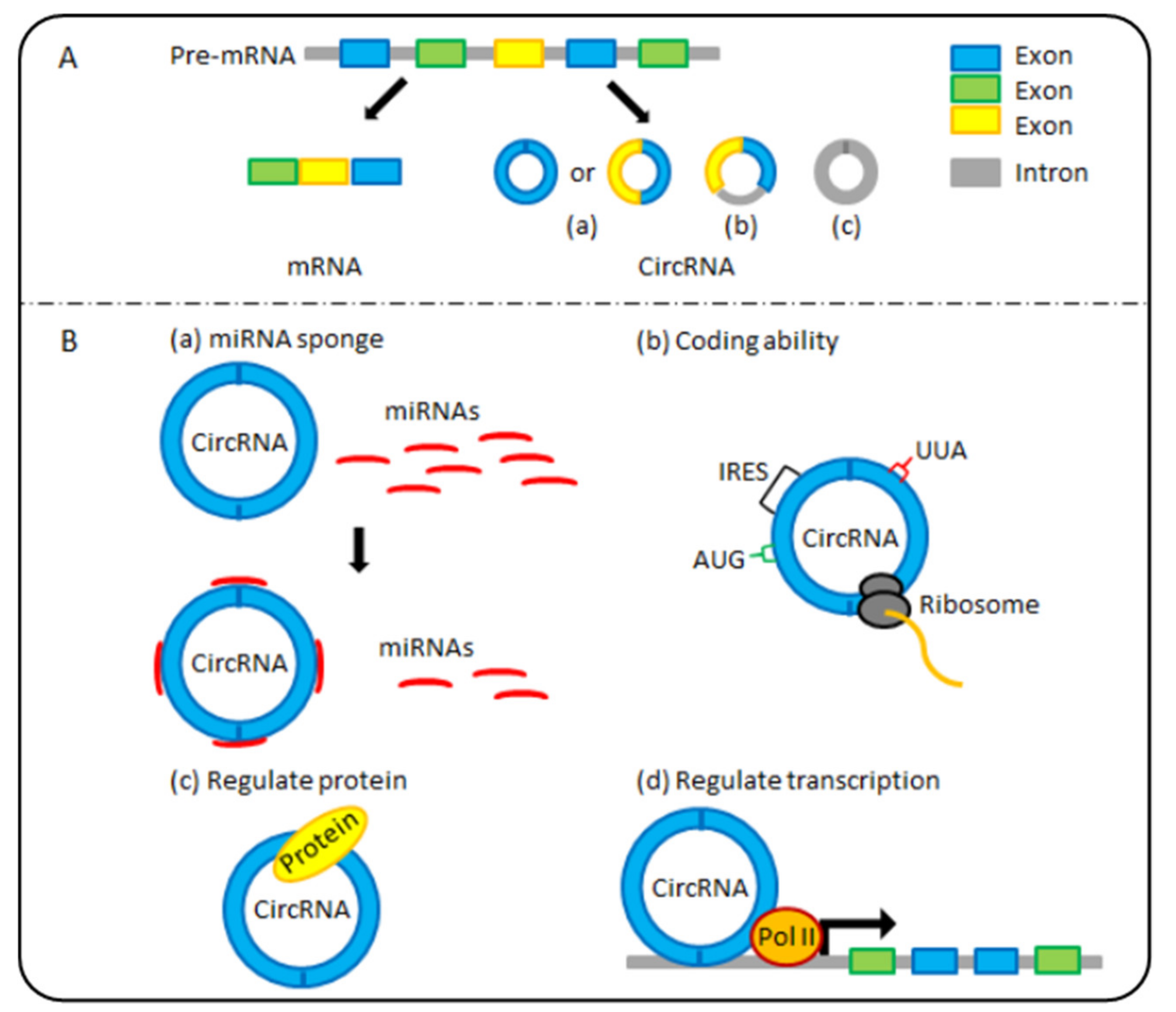 Cancers 12 00770 g001