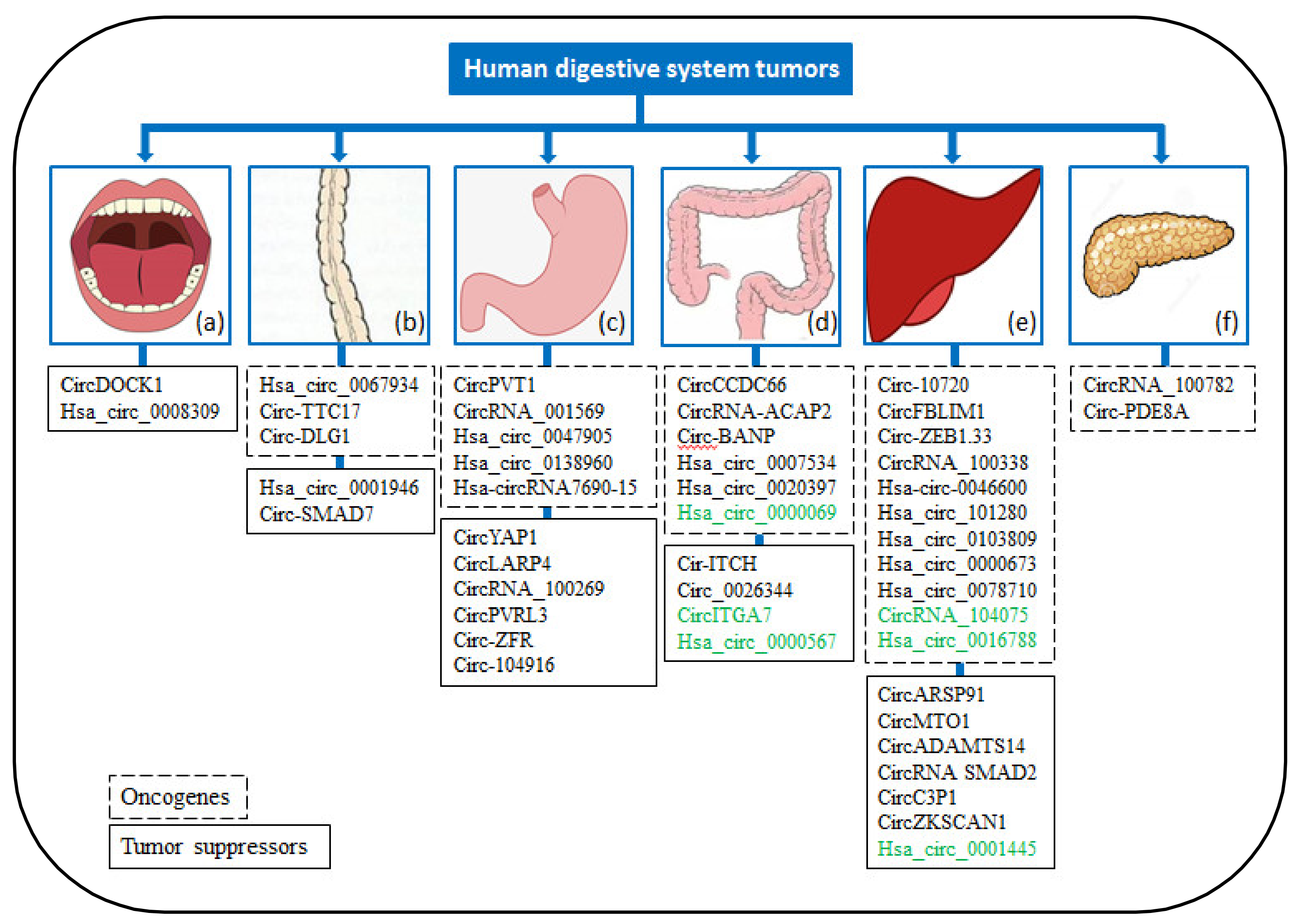 Cancers 12 00770 g002