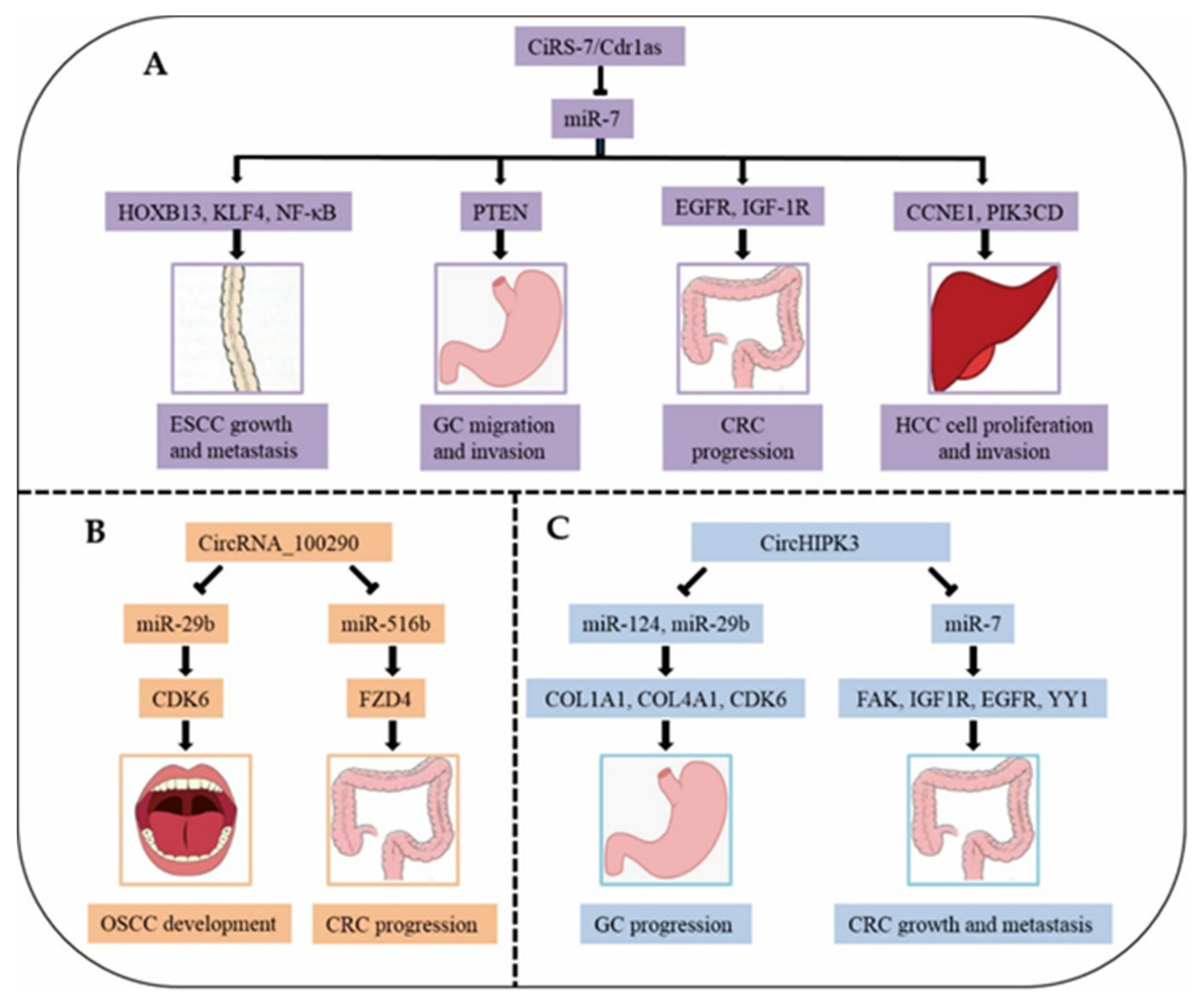 Cancers 12 00770 g003