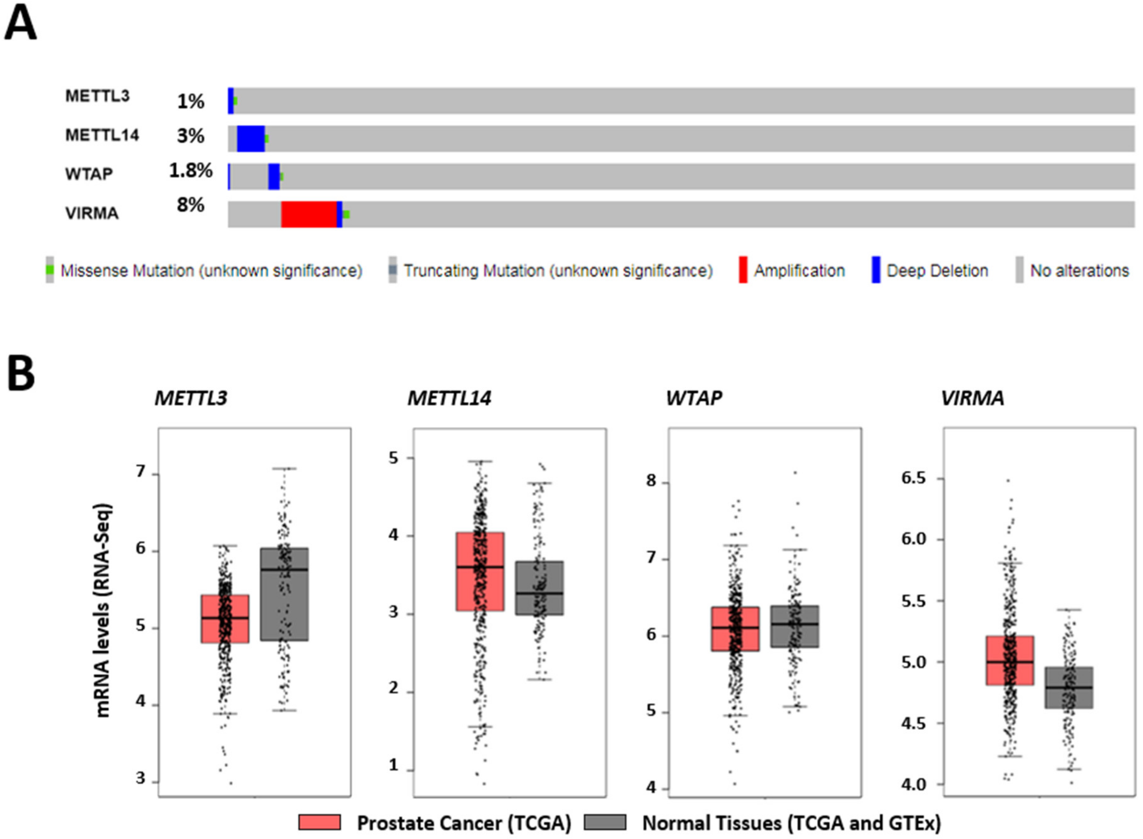 Cancers 12 00771 g001a Cancers 12 00771 g001a