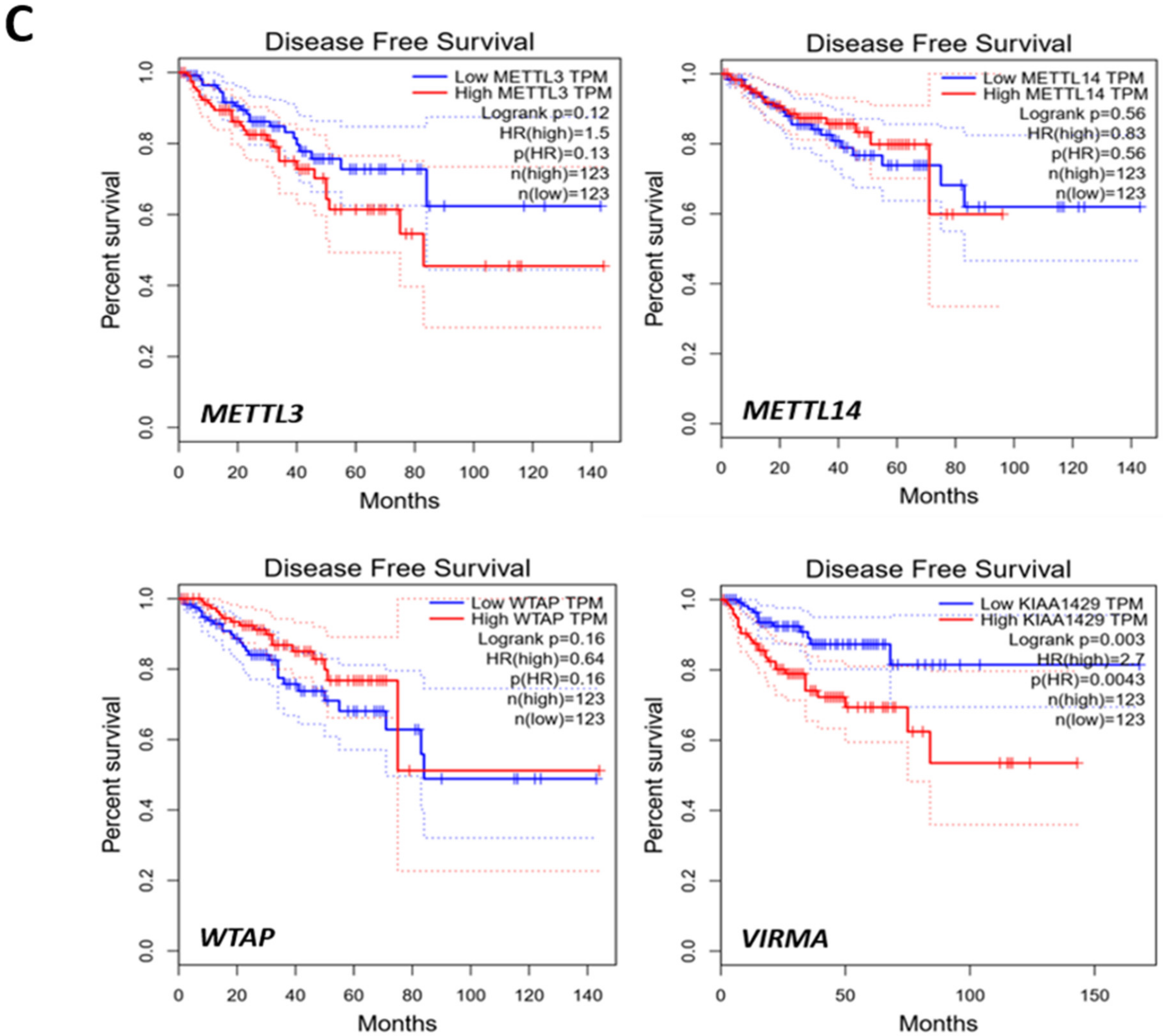 Cancers 12 00771 g001b Cancers 12 00771 g001b