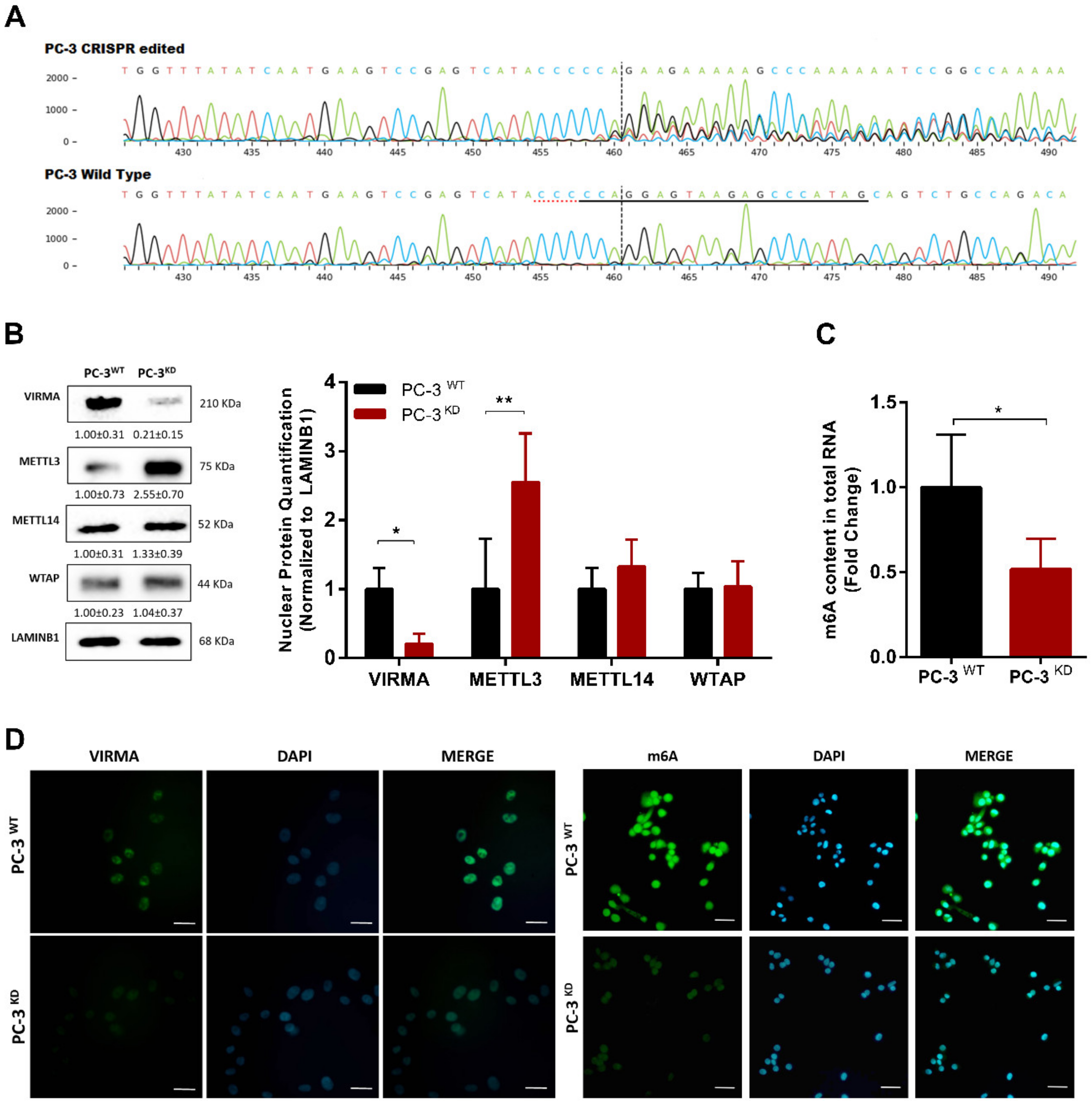 Cancers 12 00771 g003 Cancers 12 00771 g003