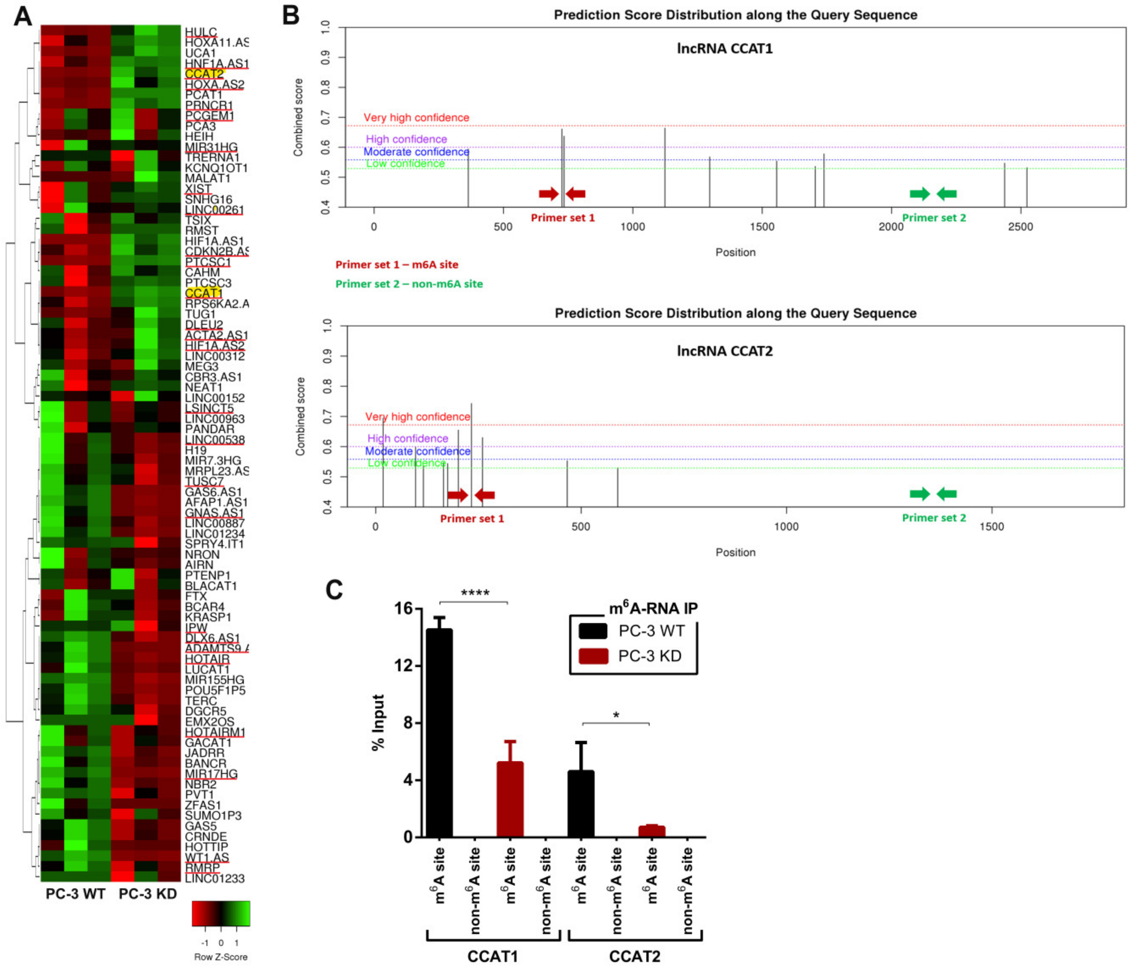 Cancers 12 00771 g005 Cancers 12 00771 g005