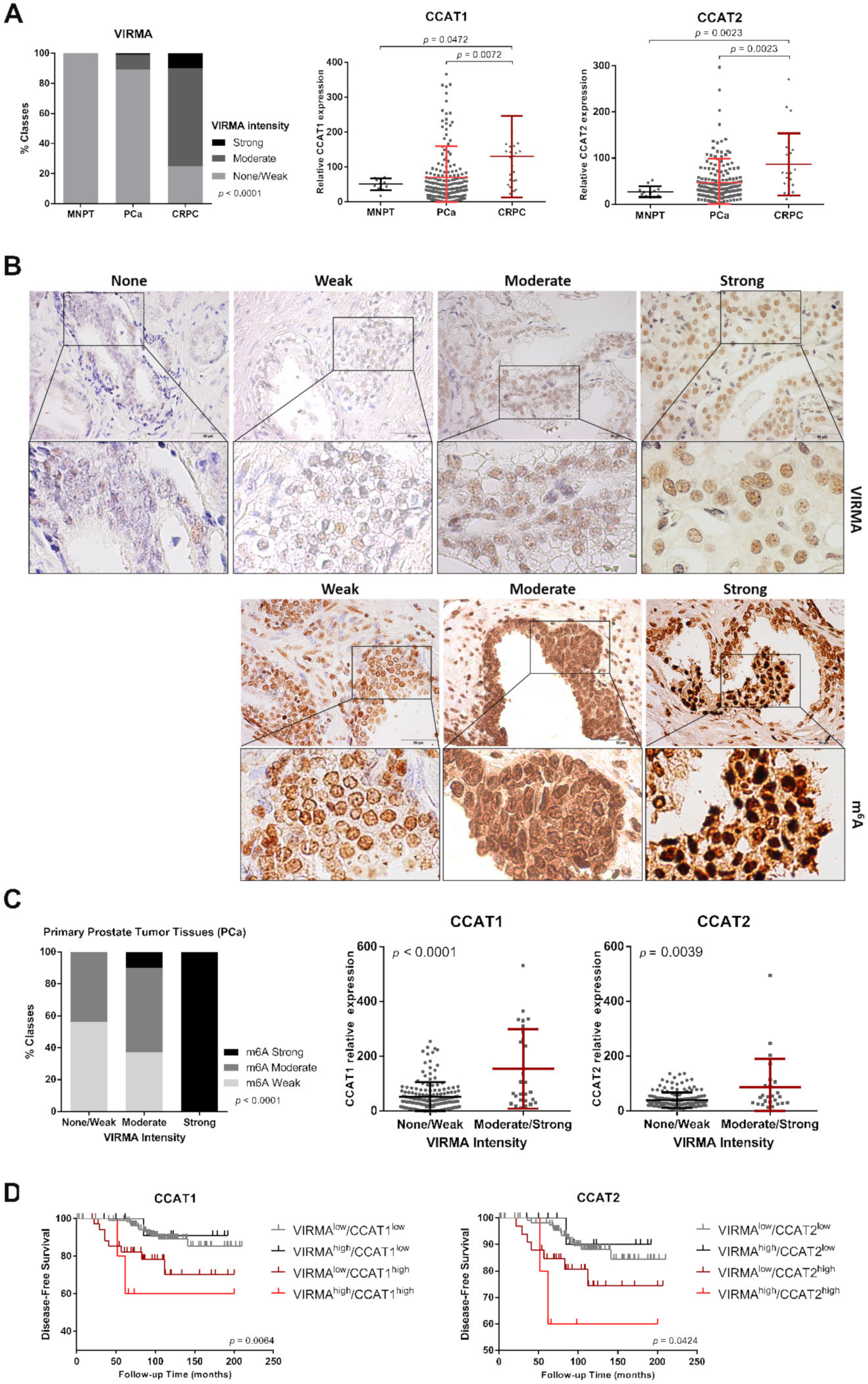 Cancers 12 00771 g007 Cancers 12 00771 g007