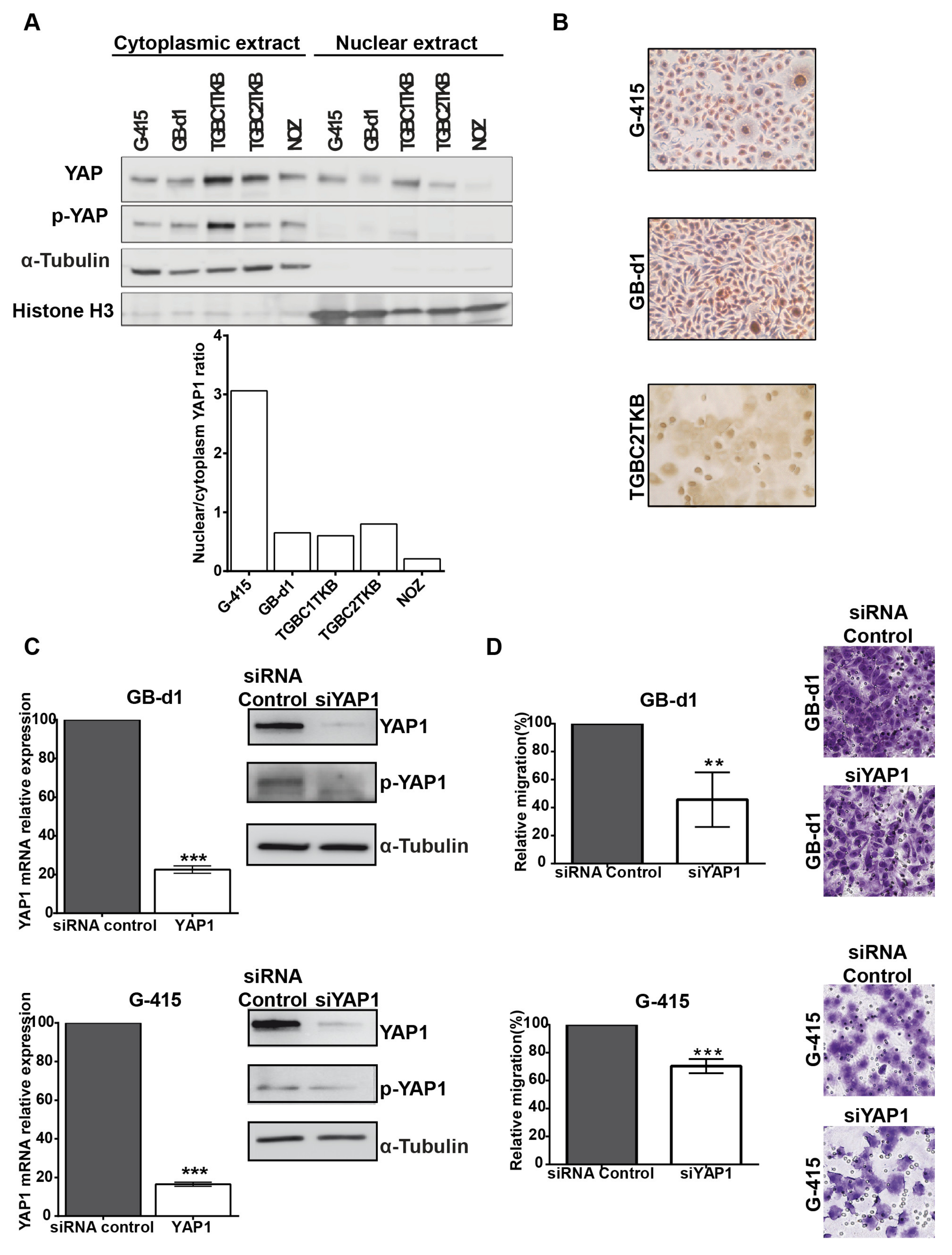 Cancers 12 00778 g003