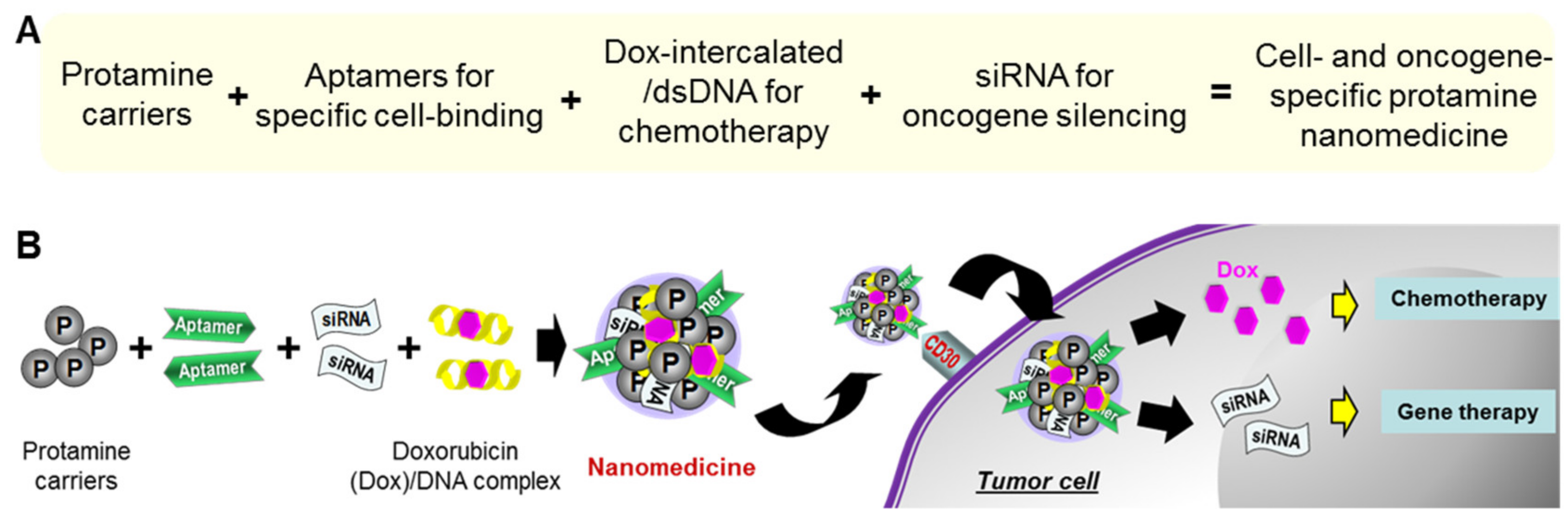 Cancers 12 00780 g001