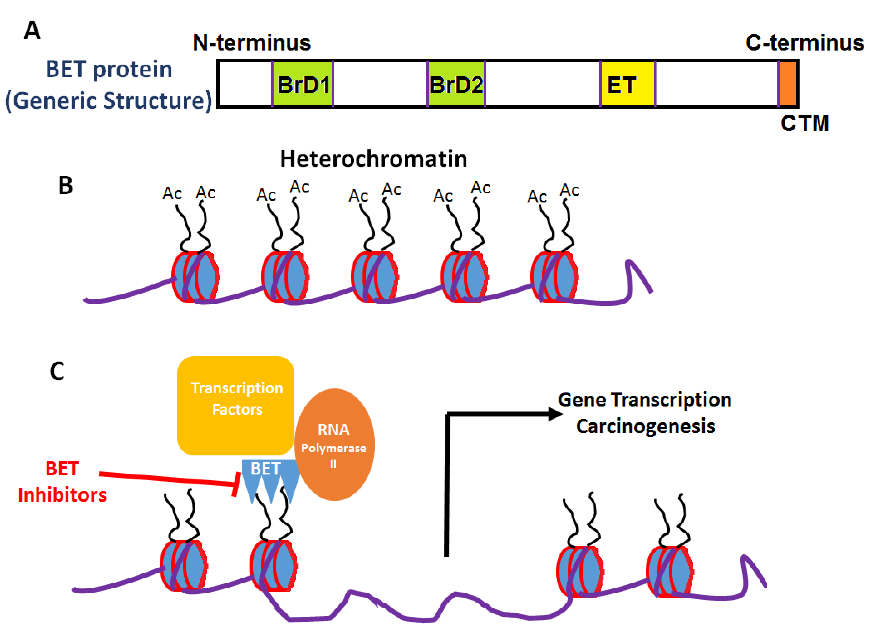 Cancers 12 00784 g001