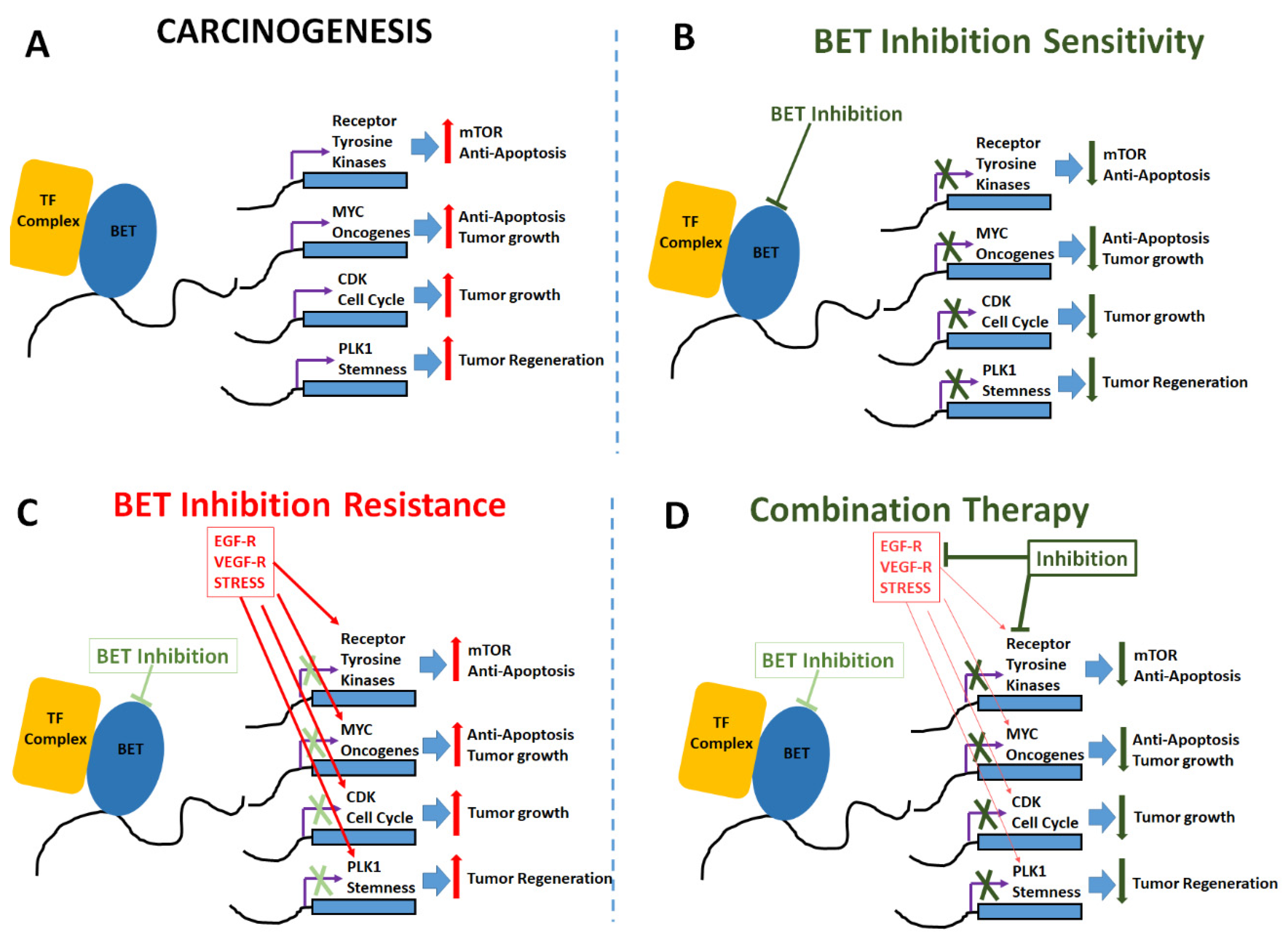 Cancers 12 00784 g002