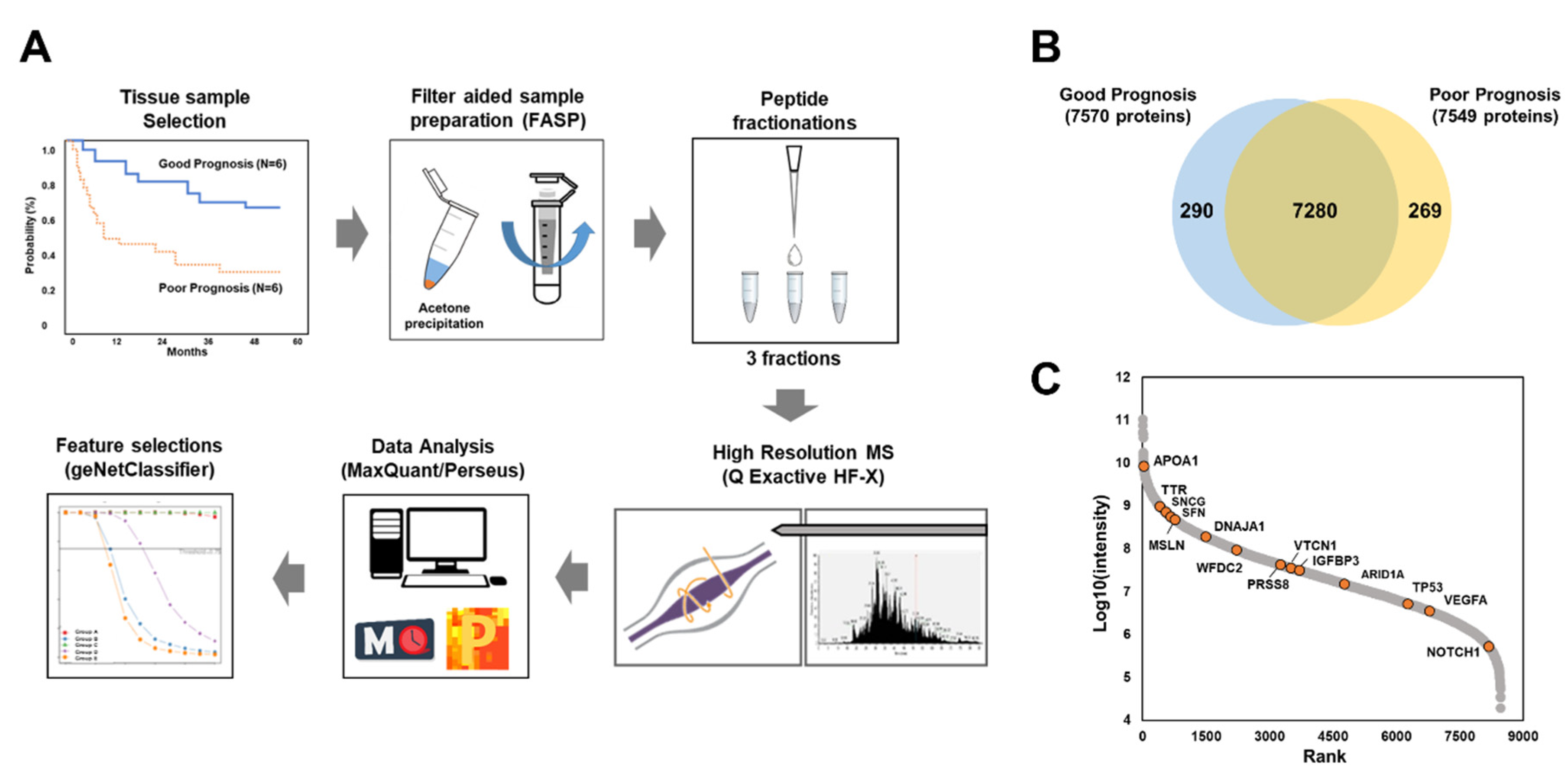 Cancers 12 00790 g001