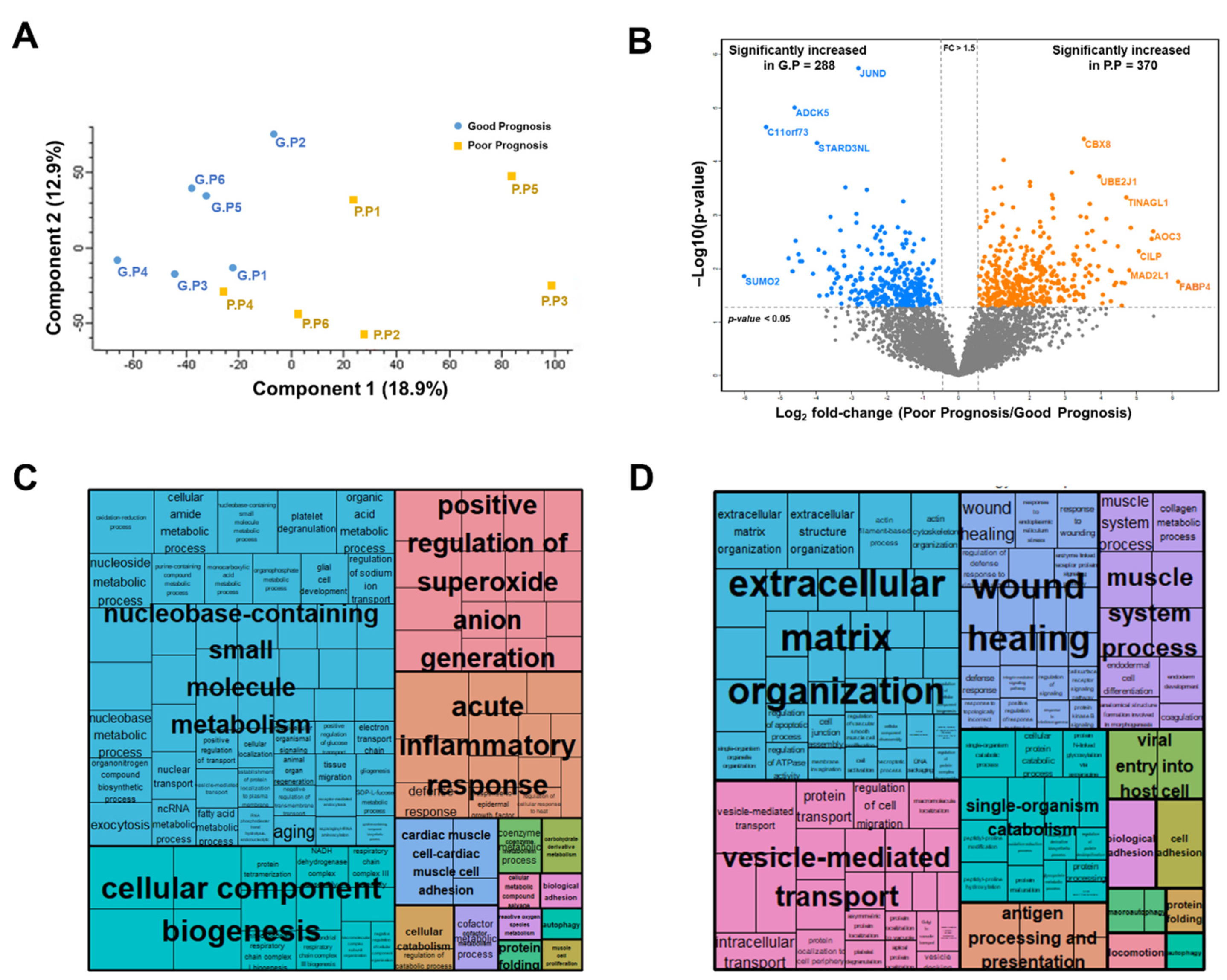 Cancers 12 00790 g002