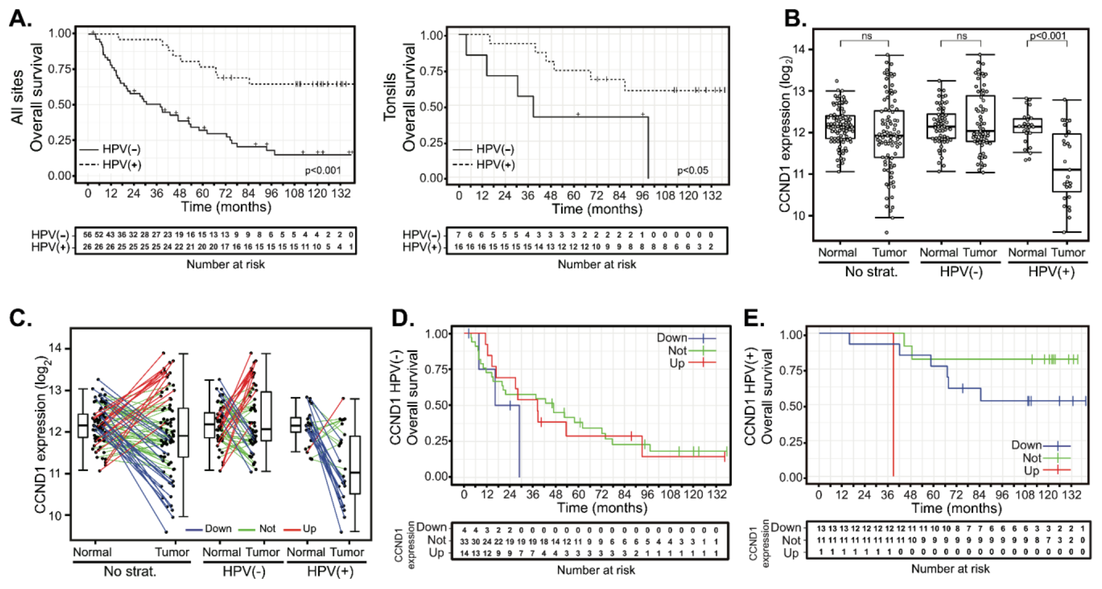 Cancers 12 00792 g001