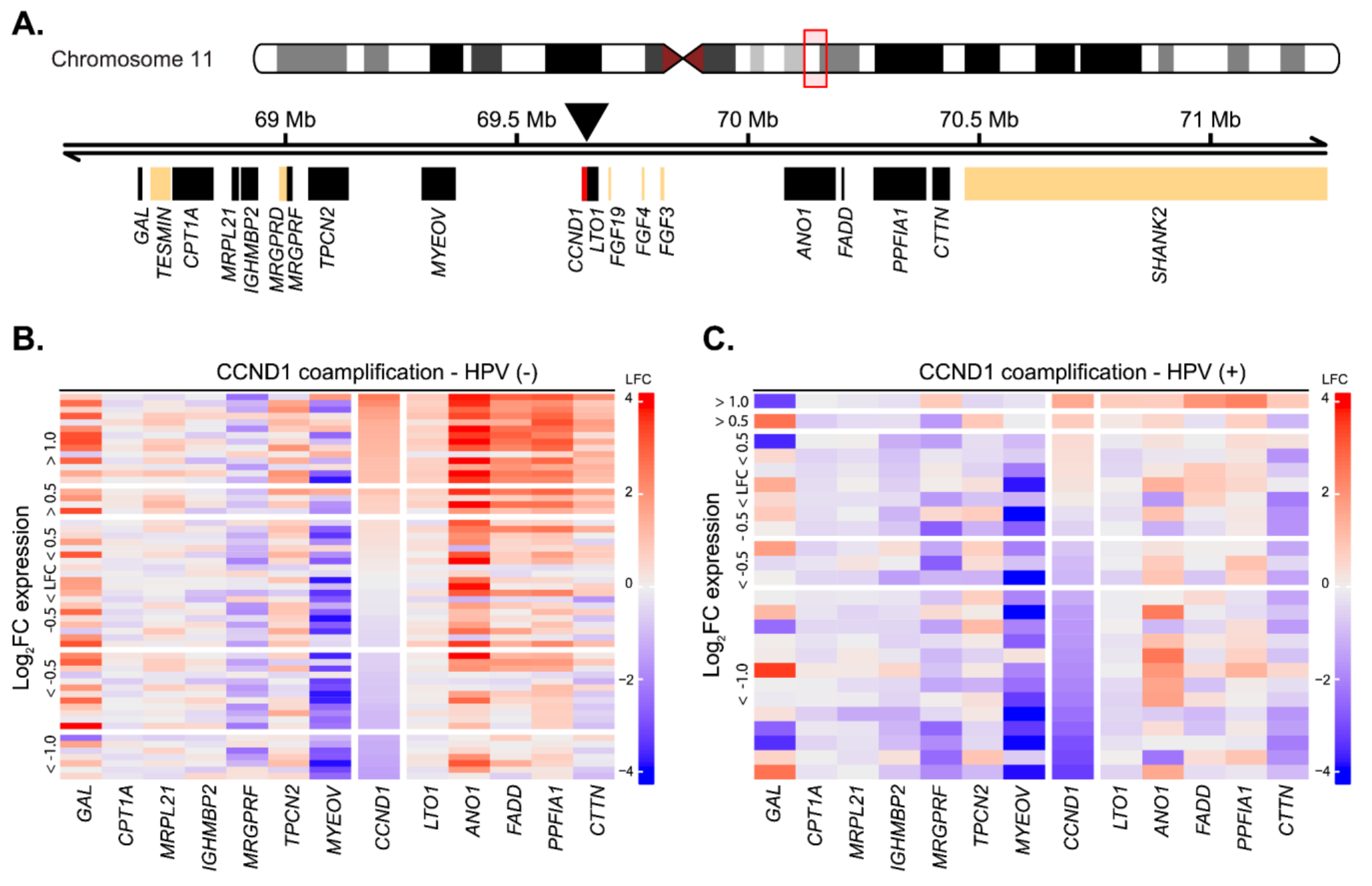 Cancers 12 00792 g002