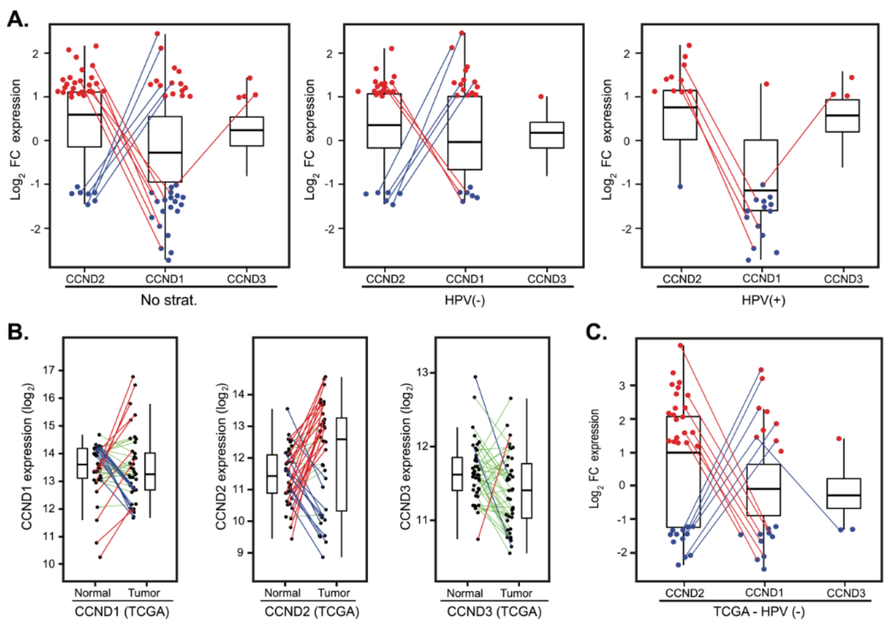 Cancers 12 00792 g005