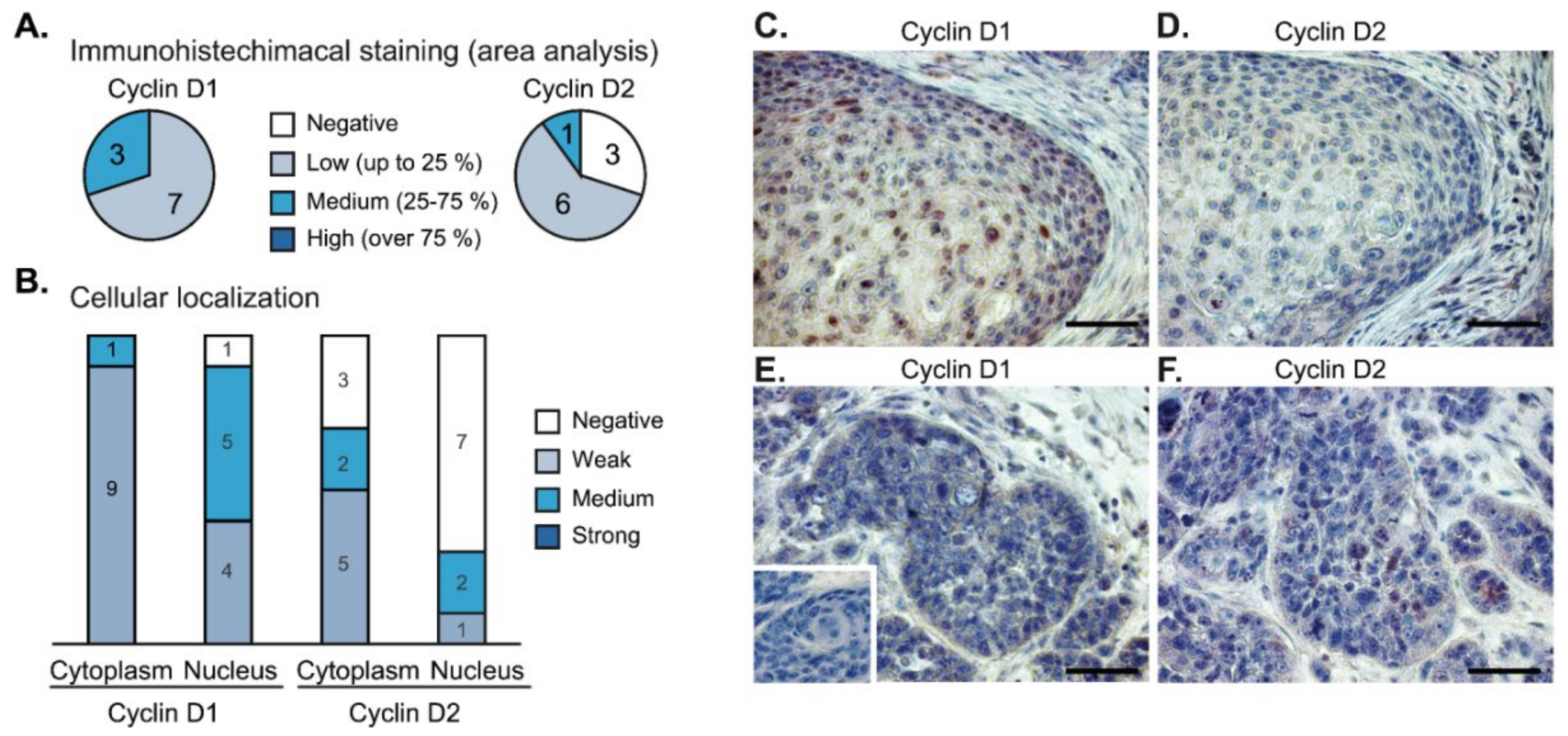 Cancers 12 00792 g006
