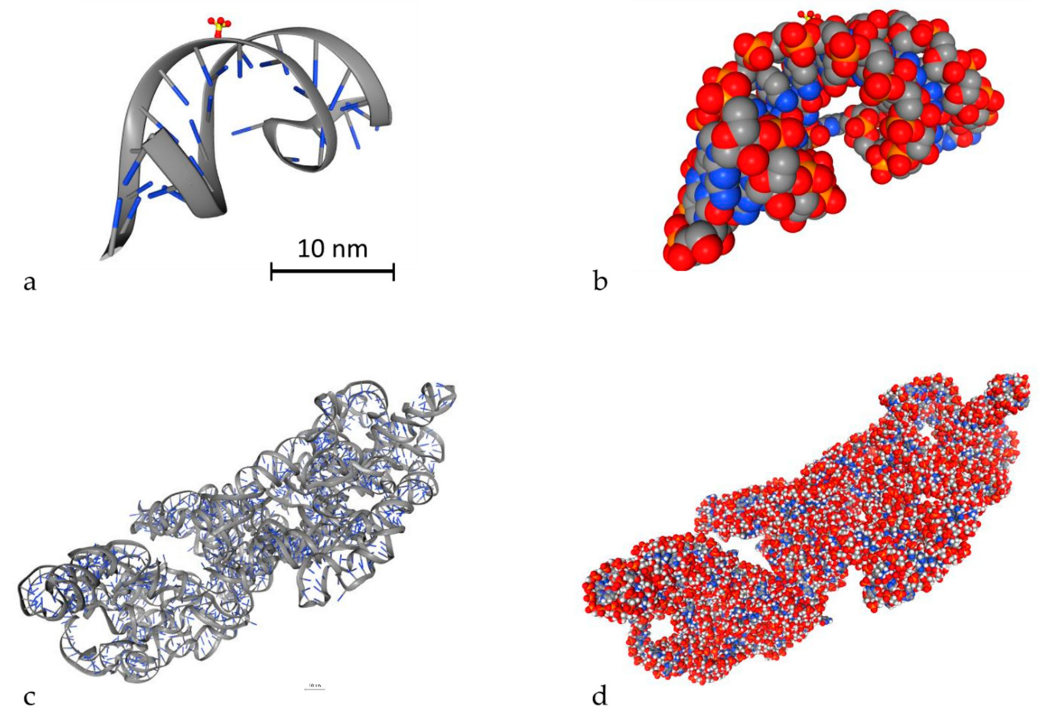 Cancers 12 00799 g003 Cancers 12 00799 g003