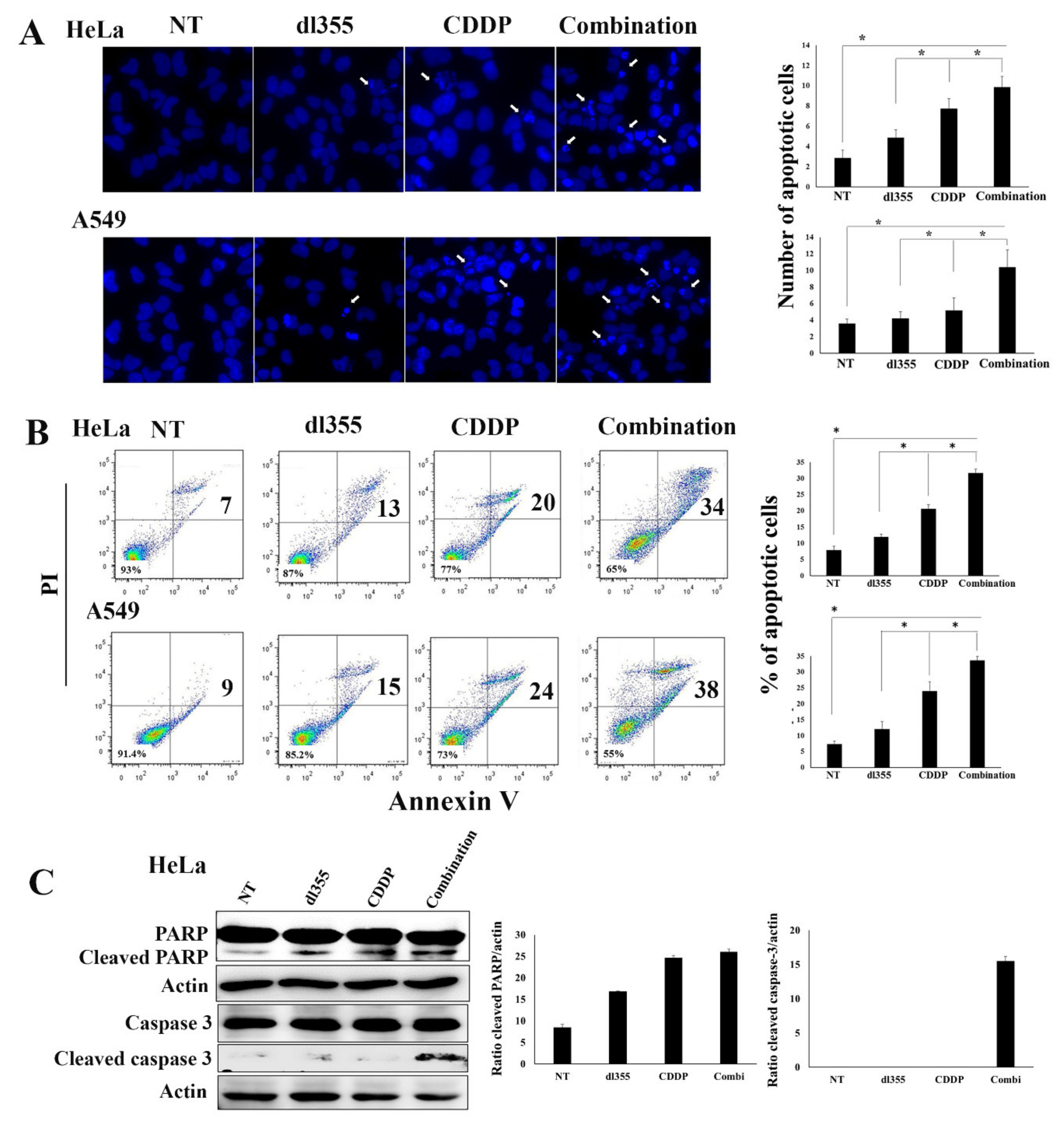 Cancers 12 00809 g004