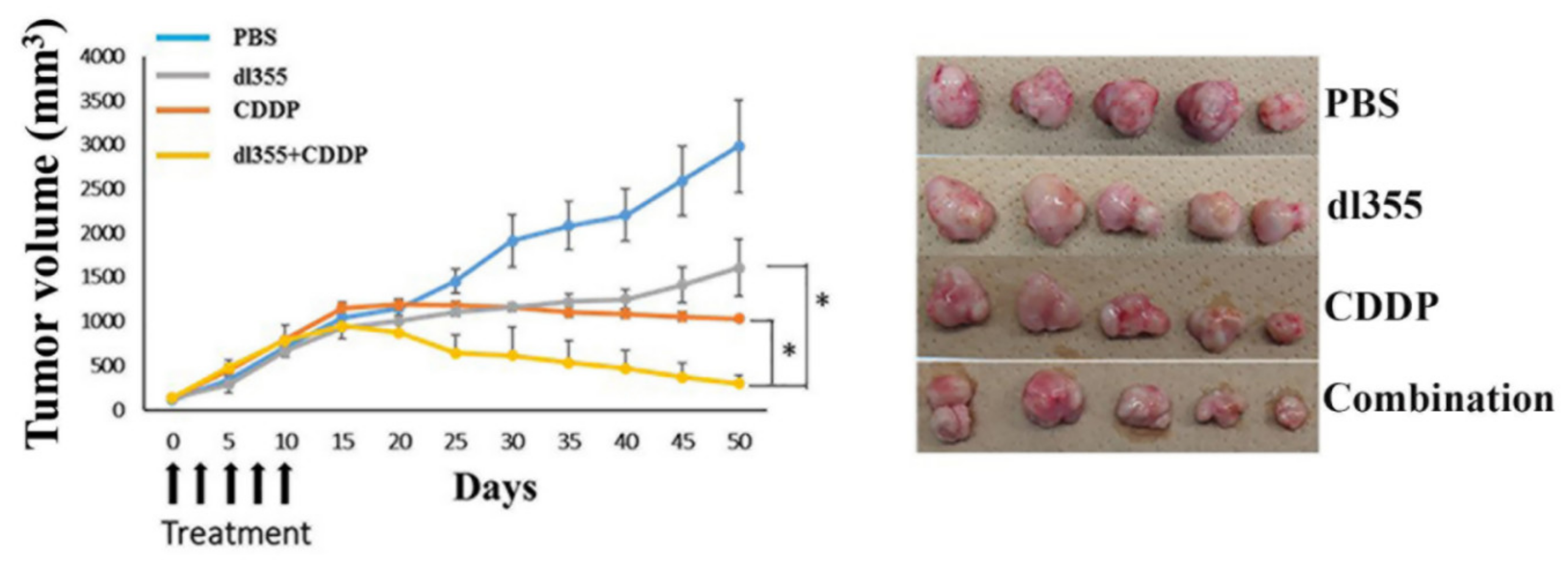 Cancers 12 00809 g005