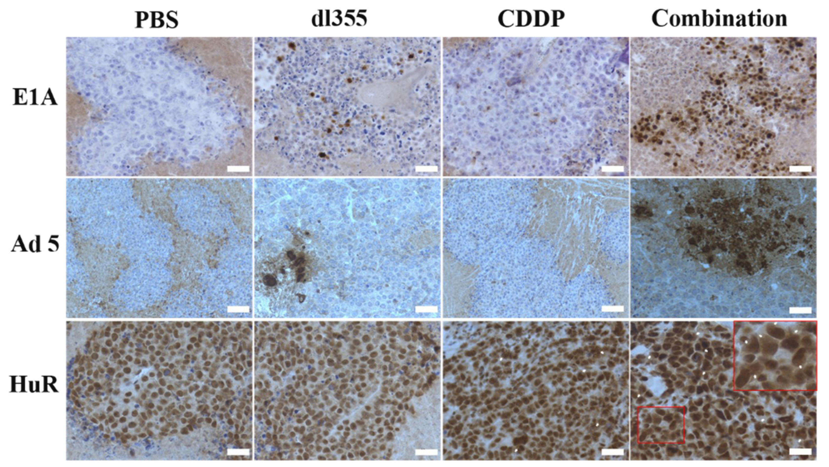 Cancers 12 00809 g006