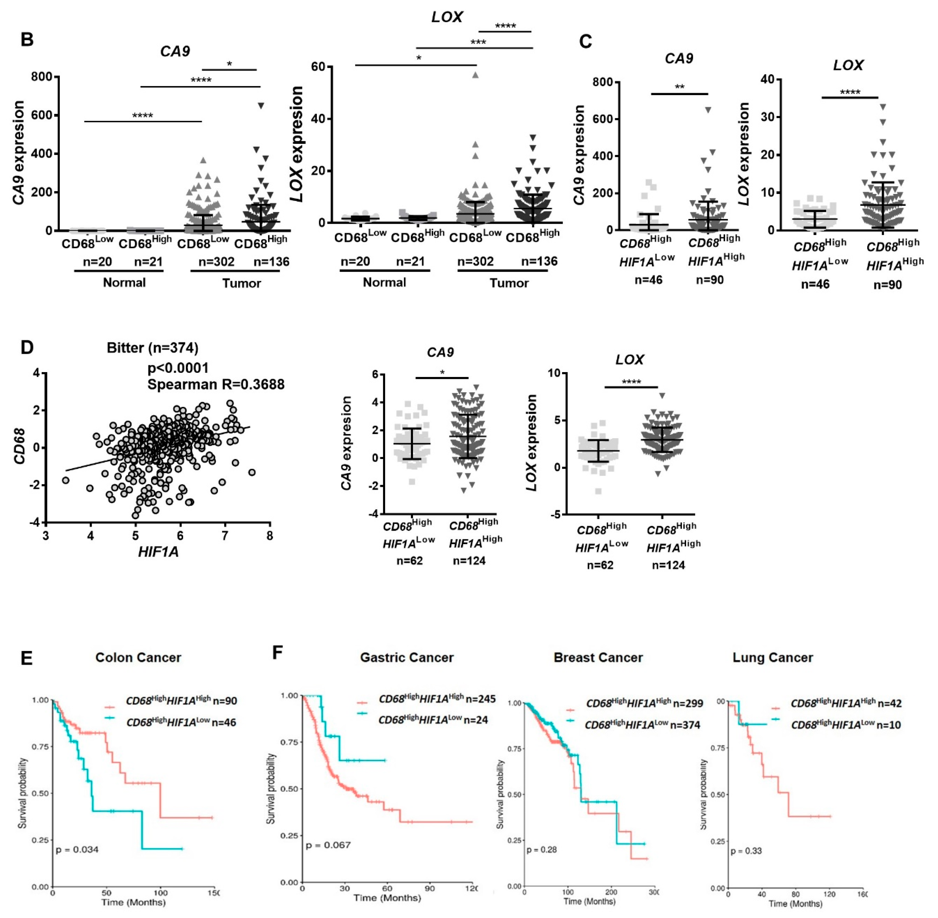 Cancers 12 00818 g001b