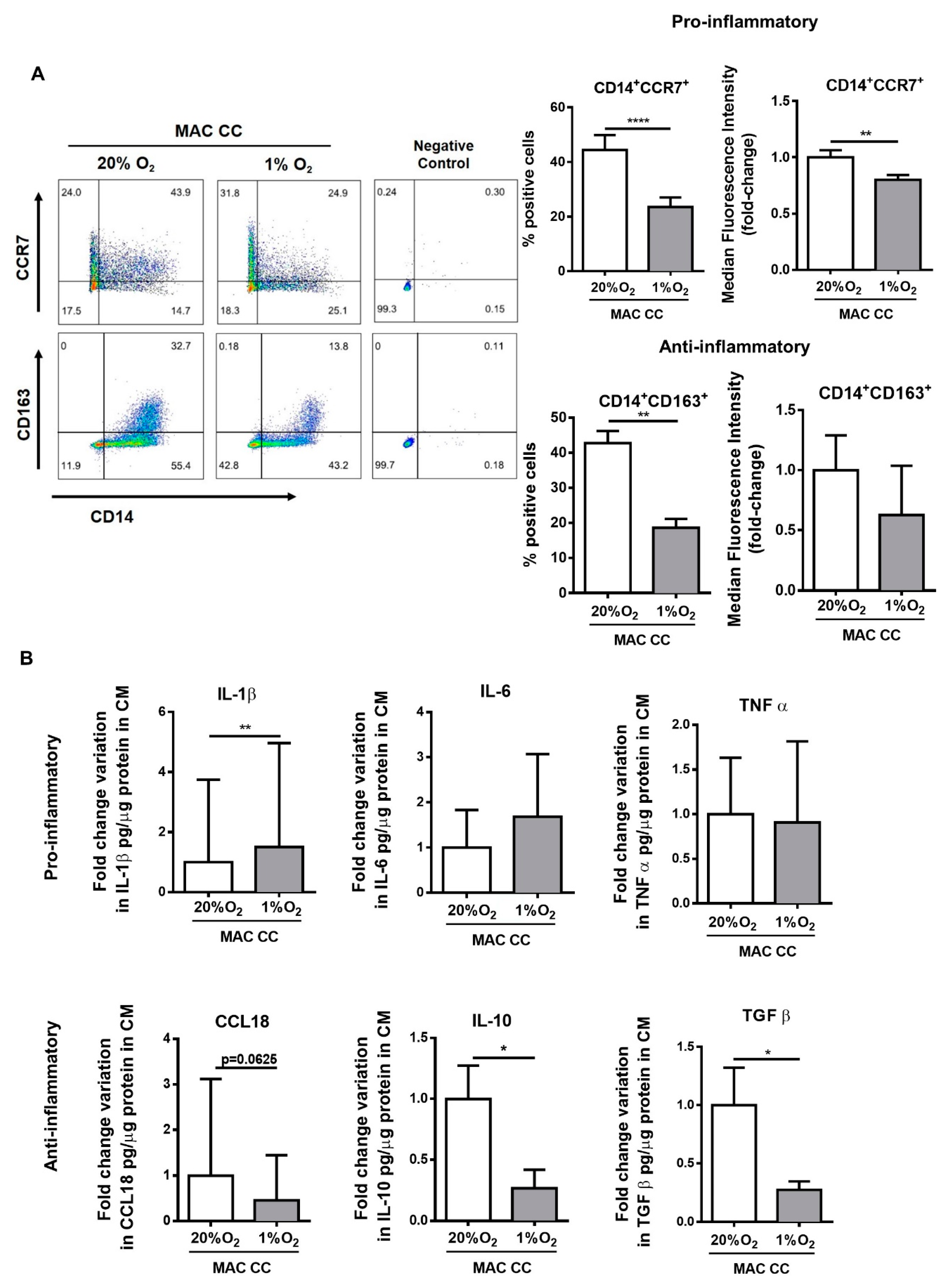Cancers 12 00818 g004