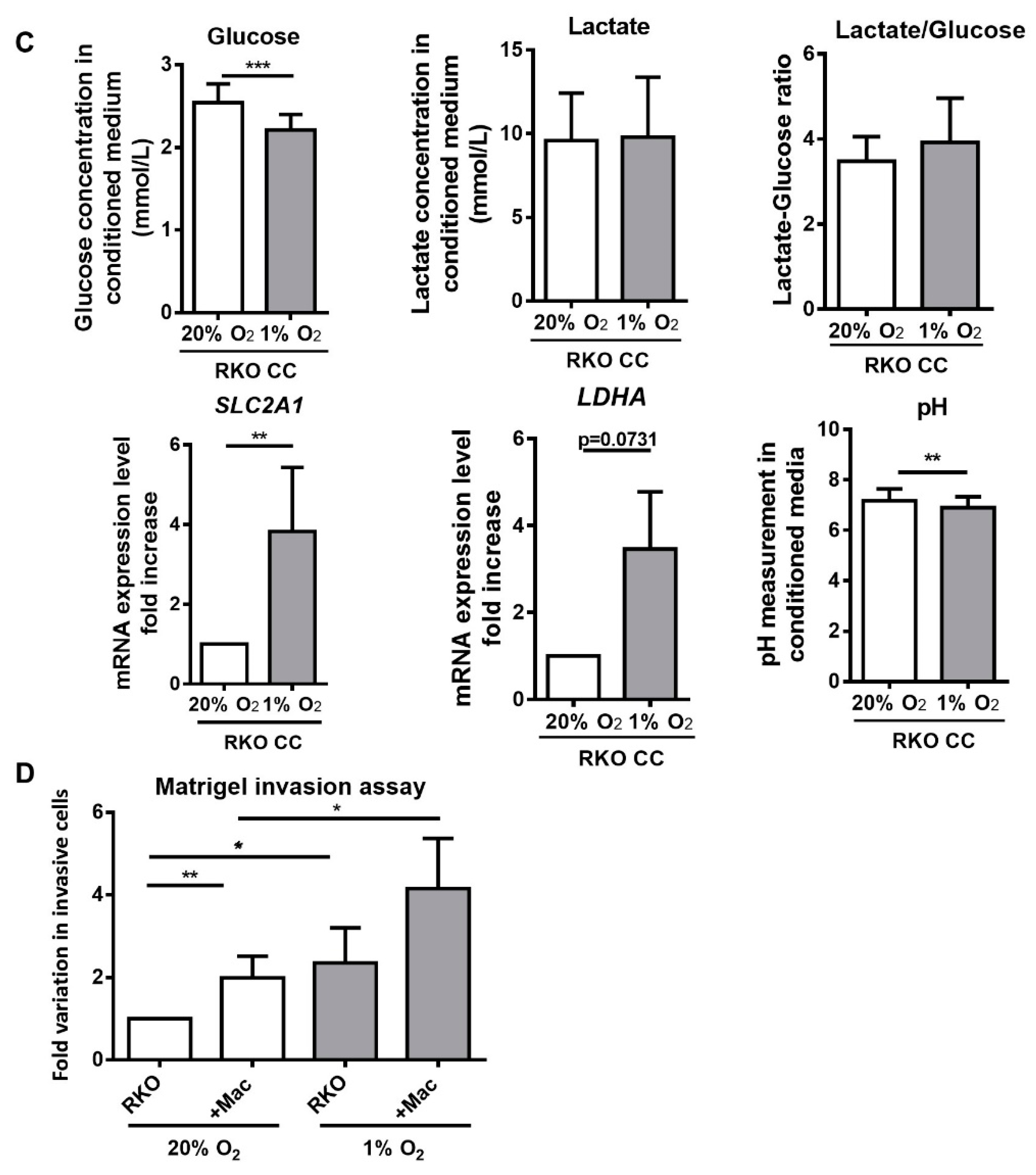 Cancers 12 00818 g005b