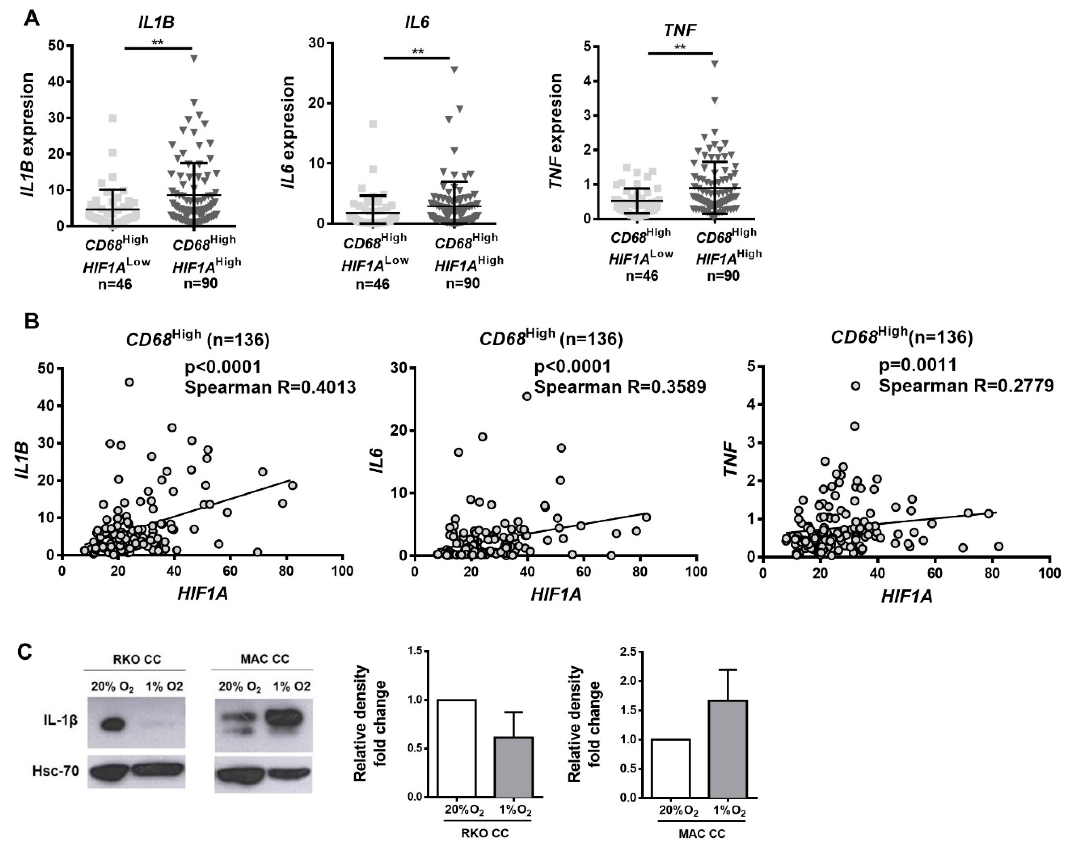 Cancers 12 00818 g006a