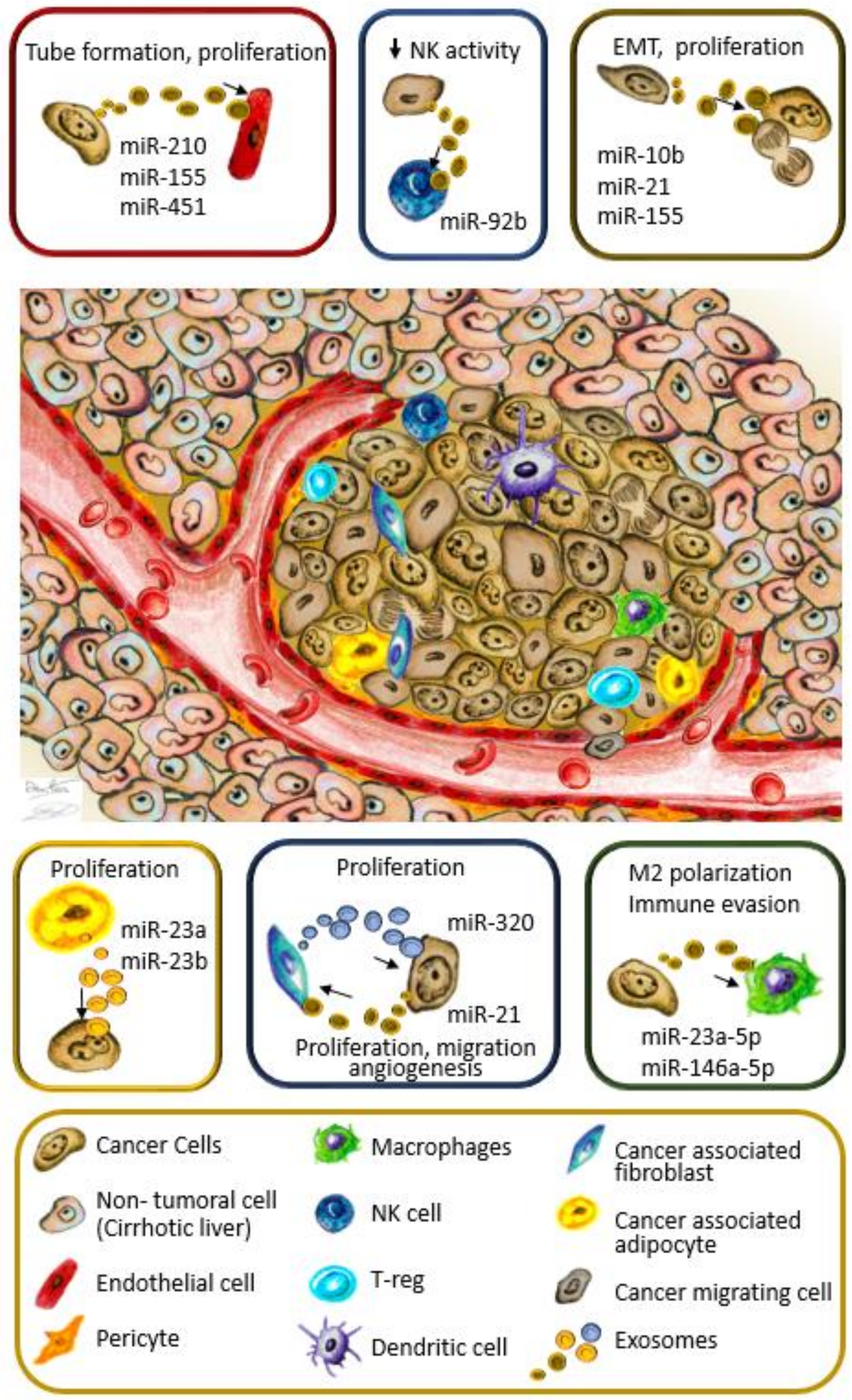 Cancers 12 00823 g001 Cancers 12 00823 g001