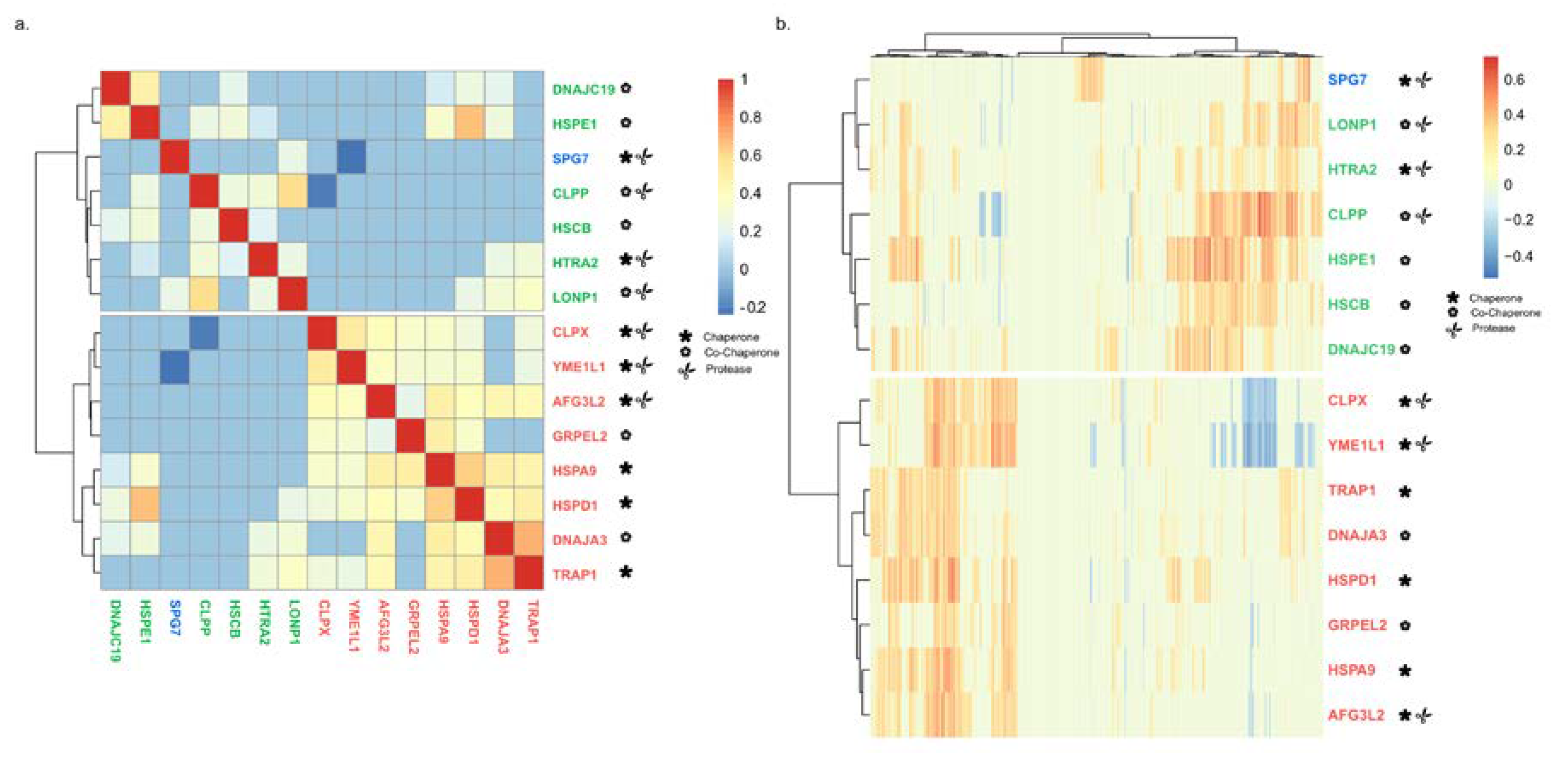 Cancers 12 00825 g004 Cancers 12 00825 g004