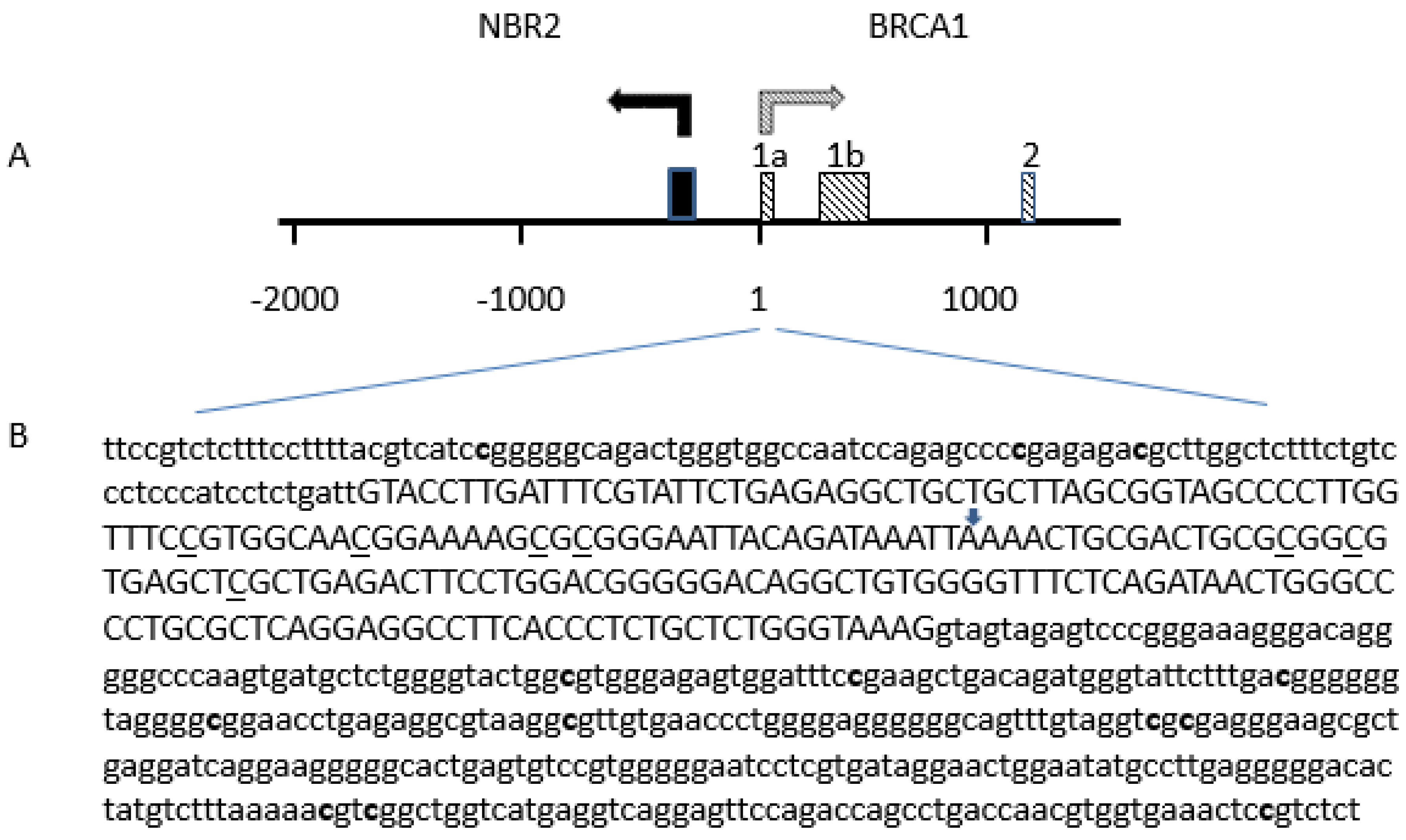Cancers 12 00828 g005