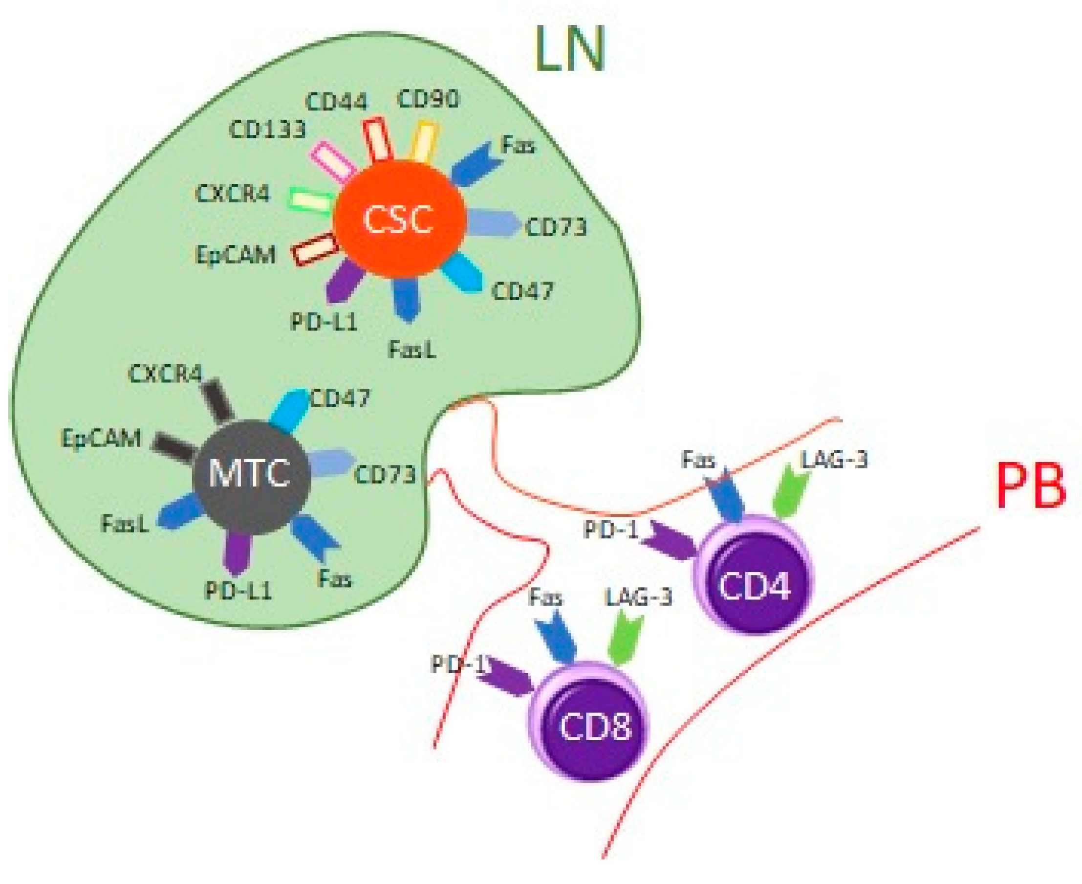 Cancers 12 00838 g001