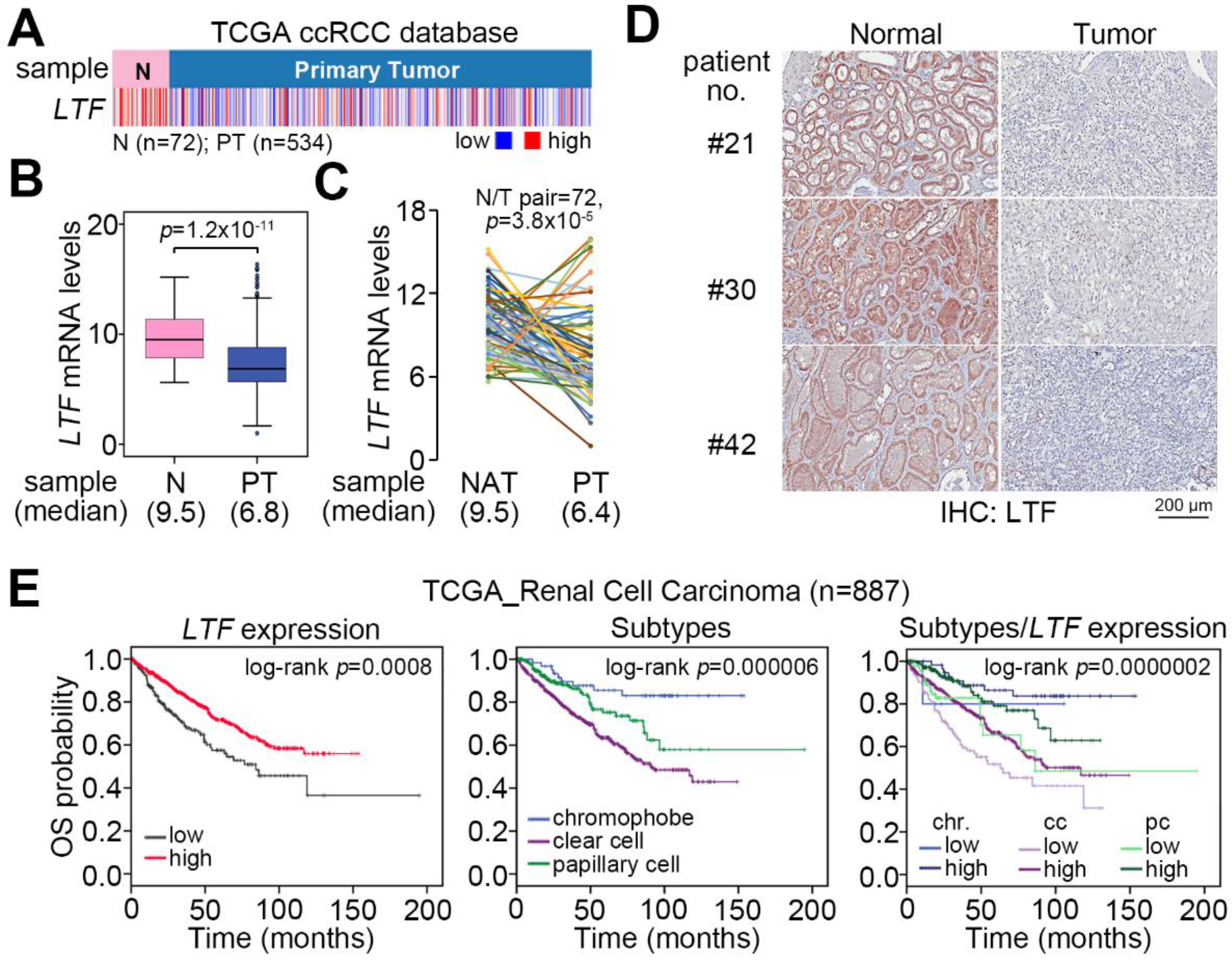 Cancers 12 00847 g001