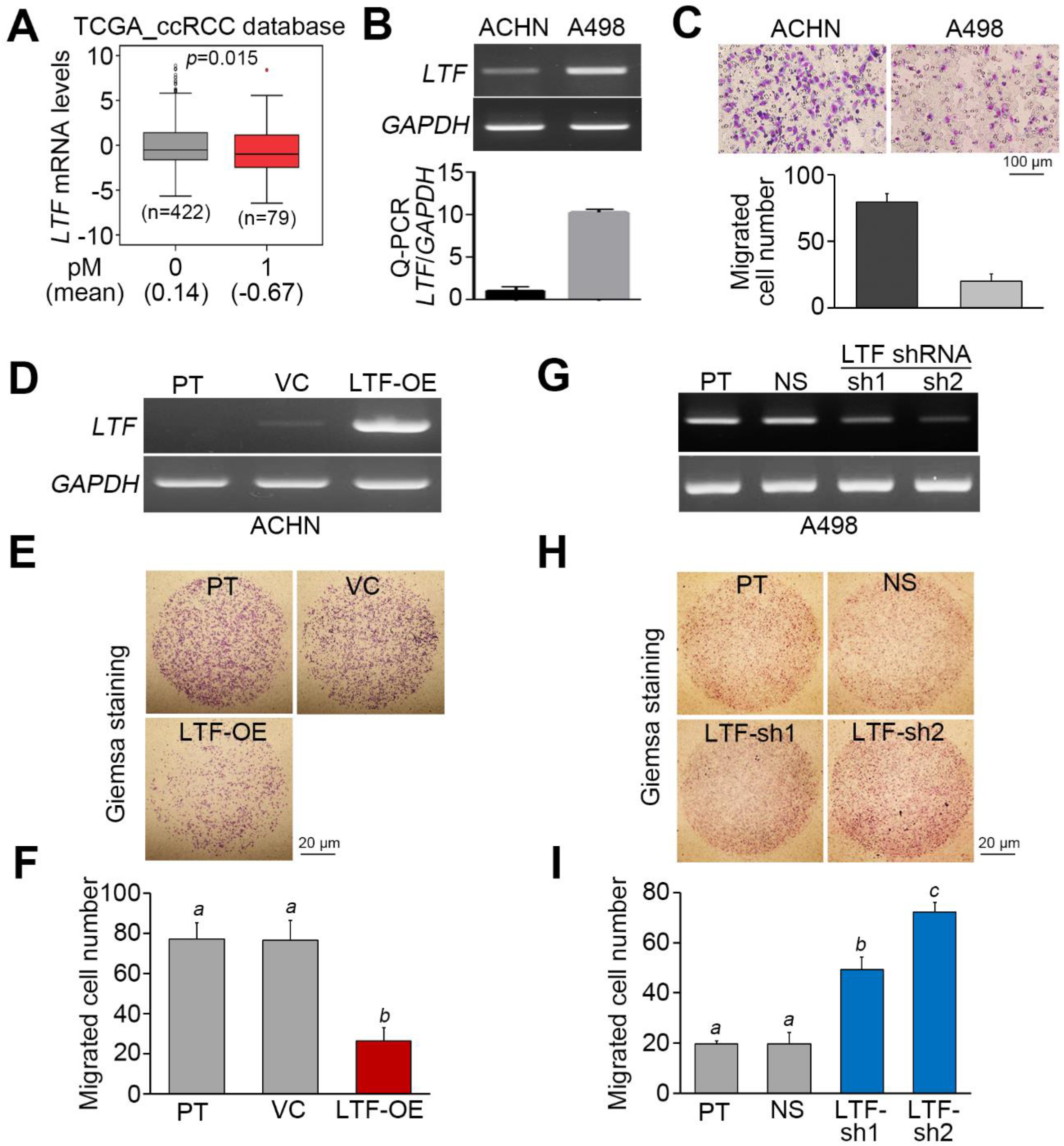 Cancers 12 00847 g003