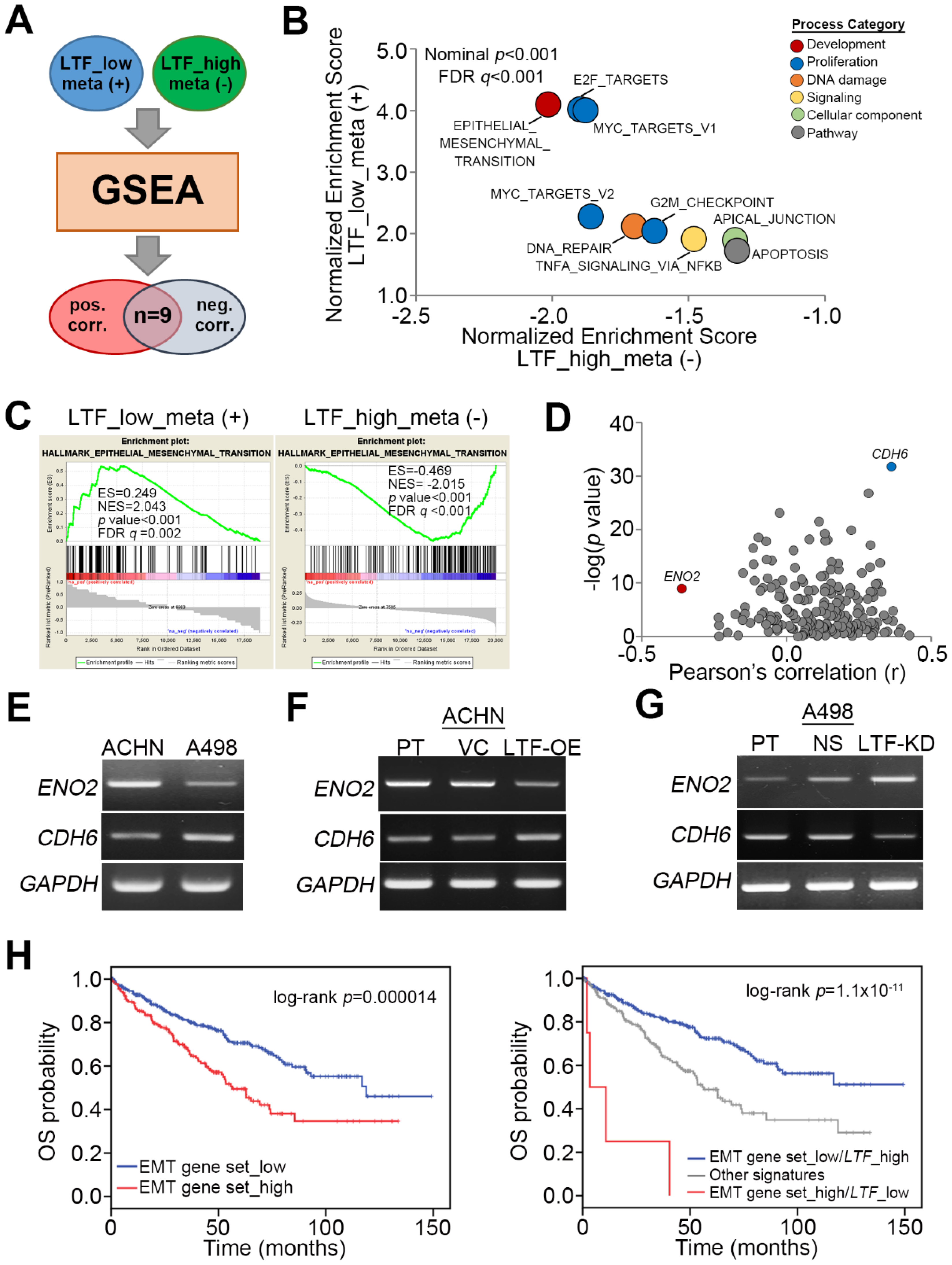 Cancers 12 00847 g004