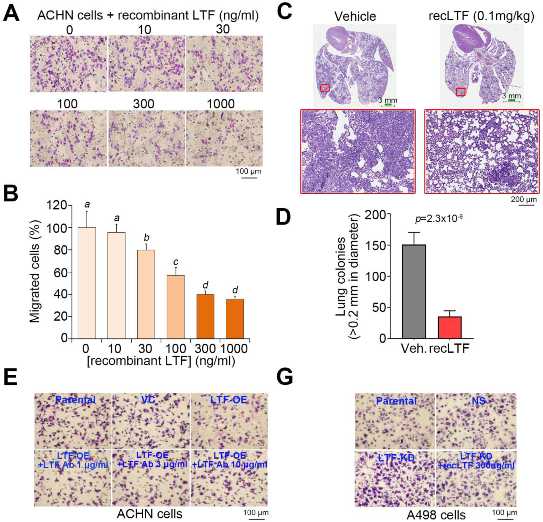Cancers 12 00847 g005a
